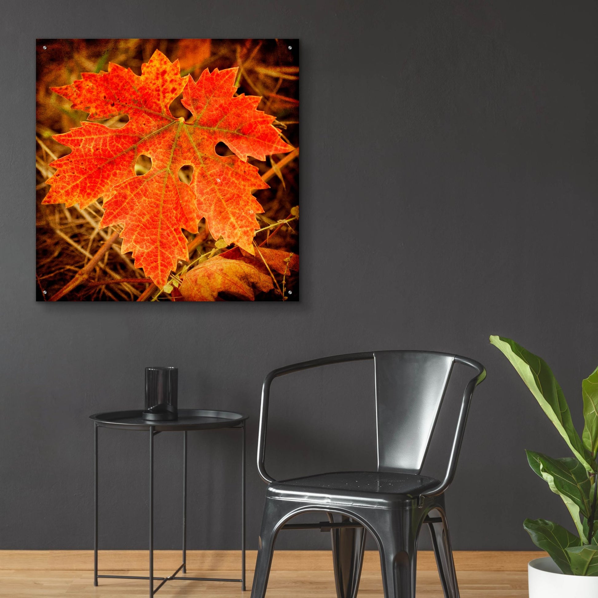 Epic Art 'Ochre Foliage' by Jessica Rogers, Acrylic Glass Wall Art,36x36