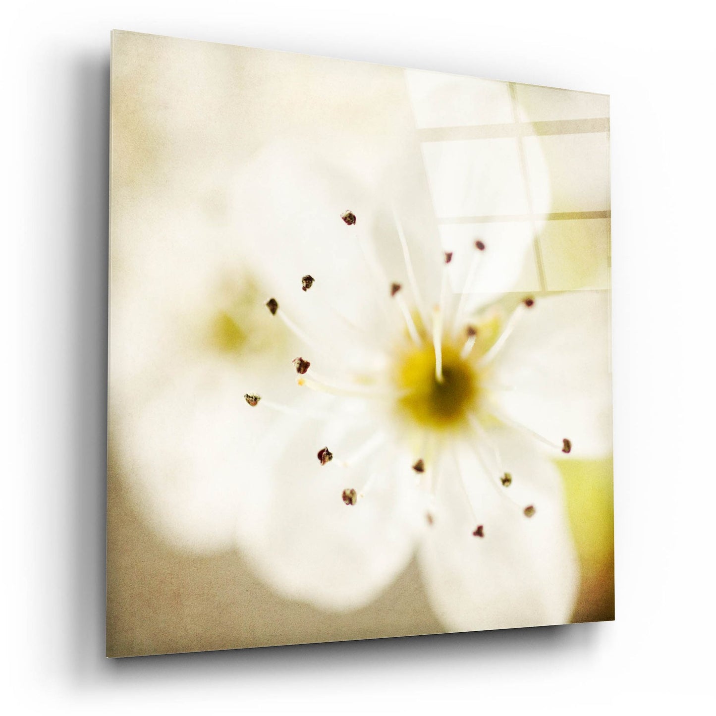 Epic Art 'Of Spring' by Jessica Rogers, Acrylic Glass Wall Art,12x12