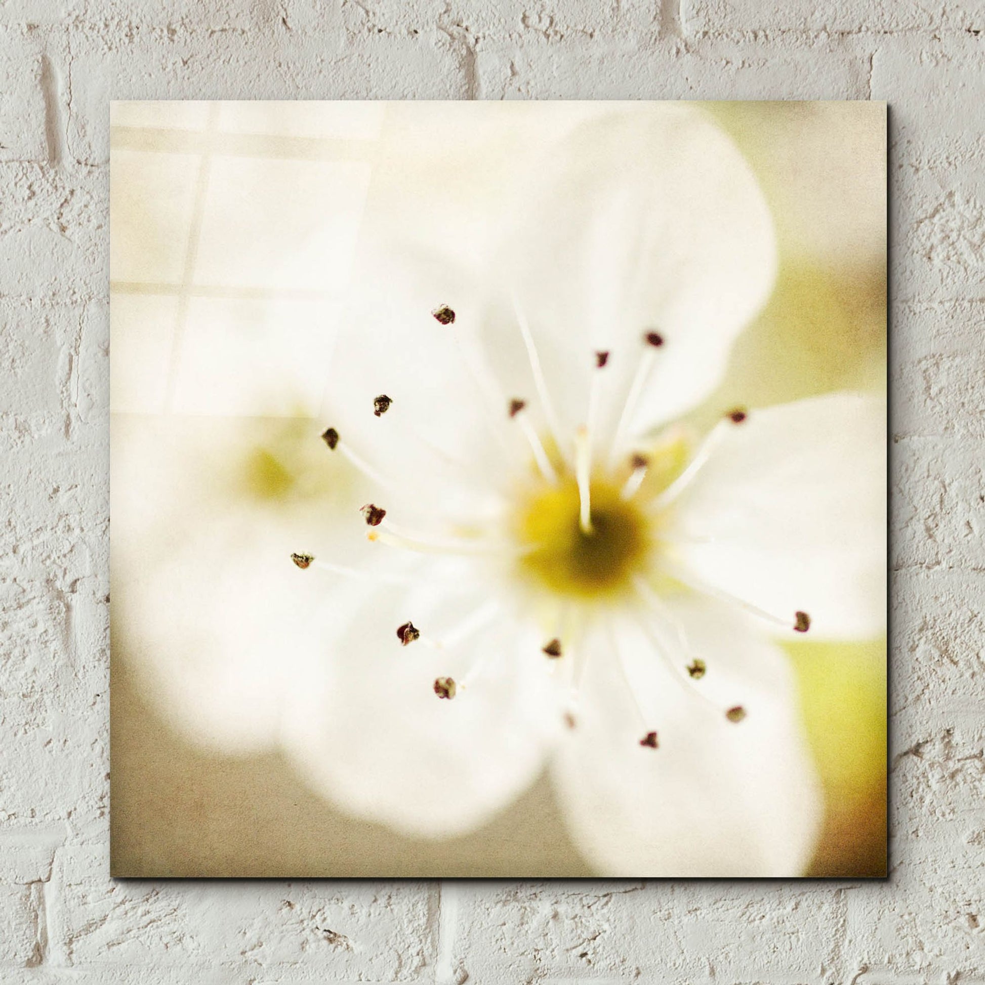 Epic Art 'Of Spring' by Jessica Rogers, Acrylic Glass Wall Art,12x12