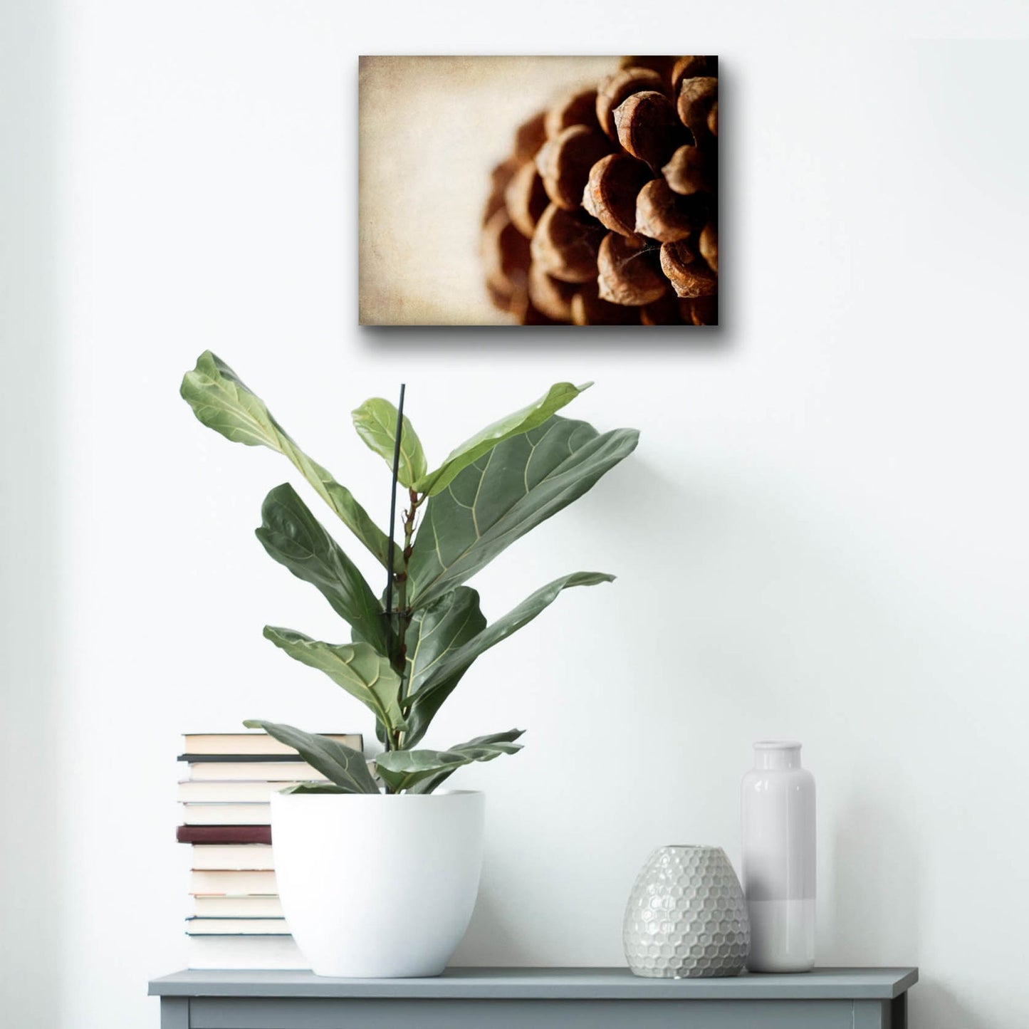 Epic Art 'Pine Cone' by Jessica Rogers, Acrylic Glass Wall Art,16x12