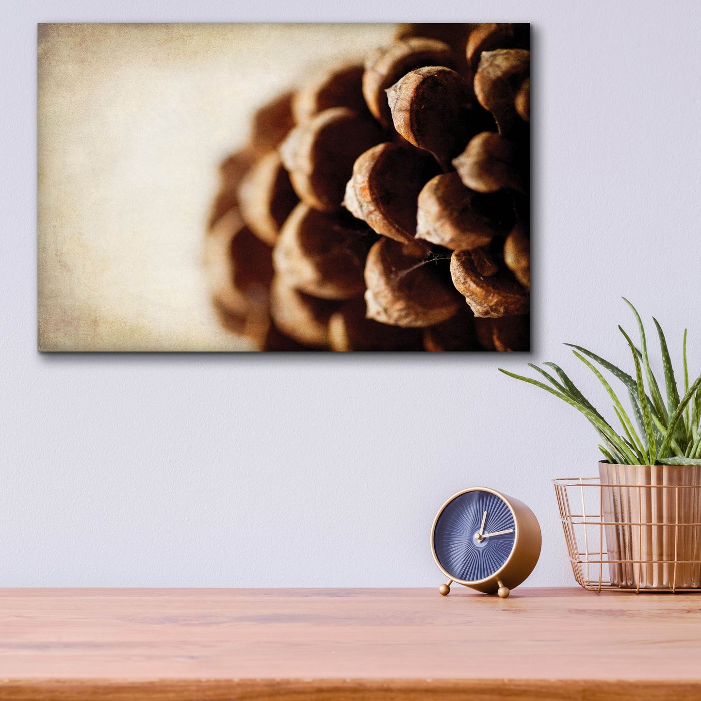 Epic Art 'Pine Cone' by Jessica Rogers, Acrylic Glass Wall Art,16x12