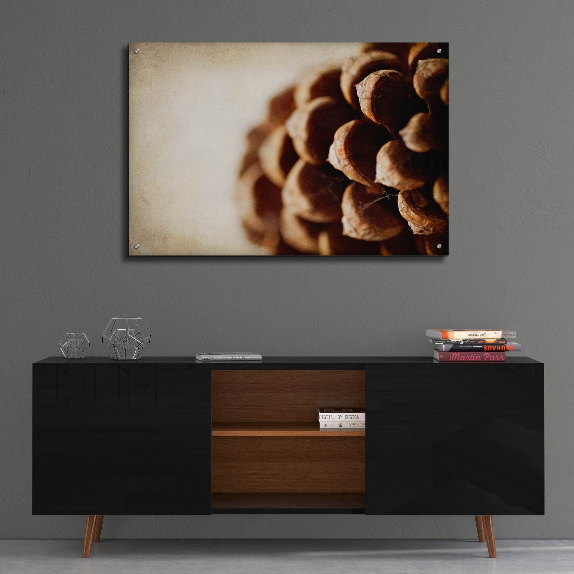 Epic Art 'Pine Cone' by Jessica Rogers, Acrylic Glass Wall Art,36x24