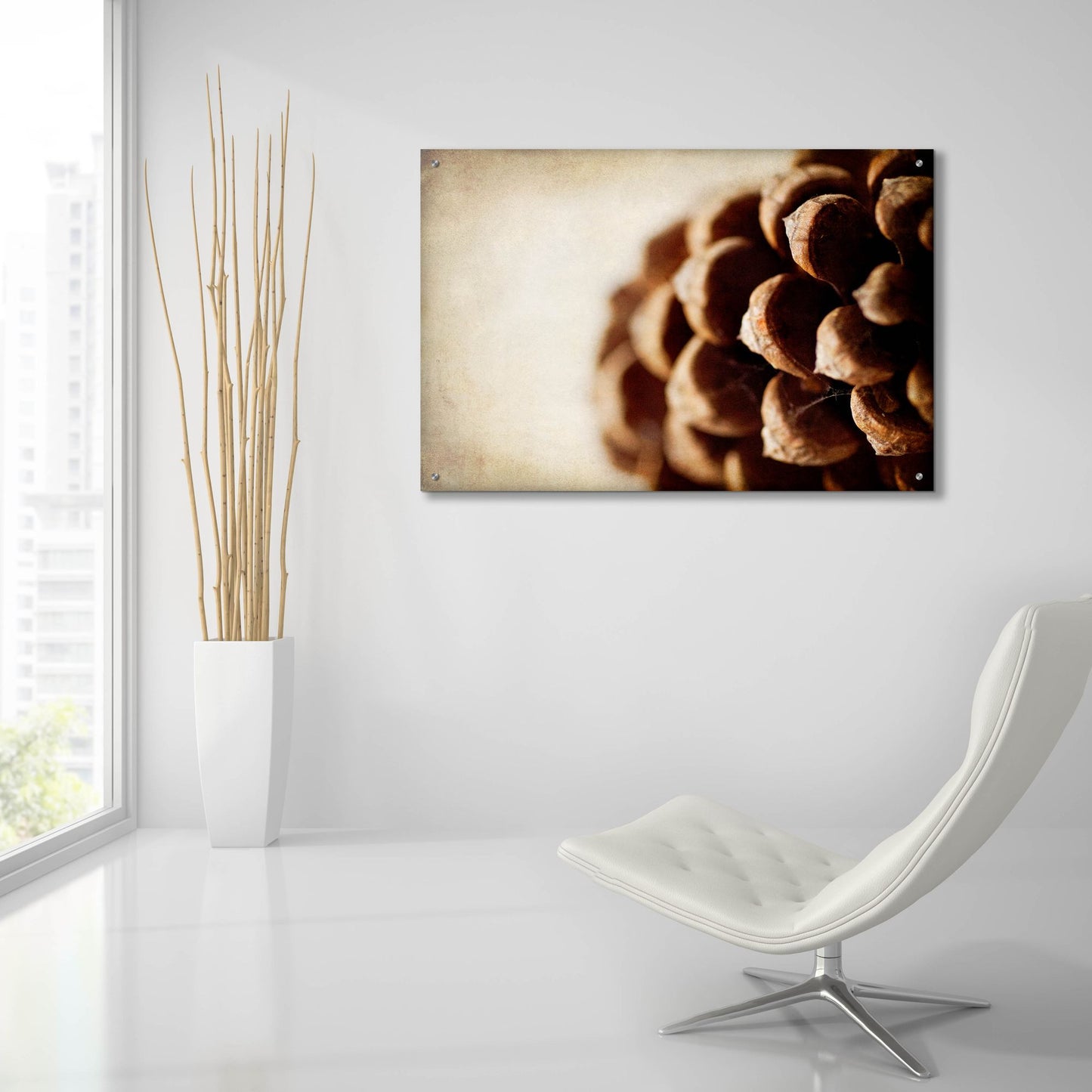 Epic Art 'Pine Cone' by Jessica Rogers, Acrylic Glass Wall Art,36x24