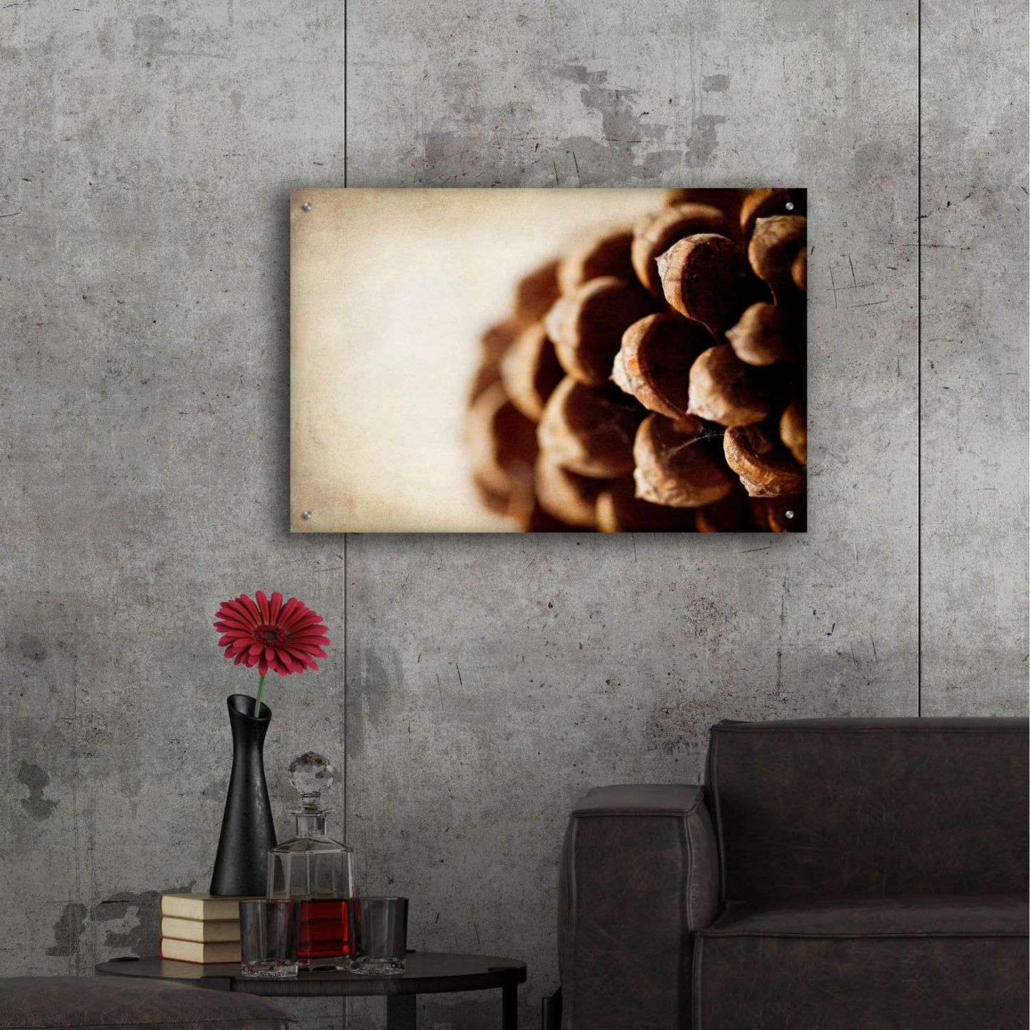 Epic Art 'Pine Cone' by Jessica Rogers, Acrylic Glass Wall Art,36x24