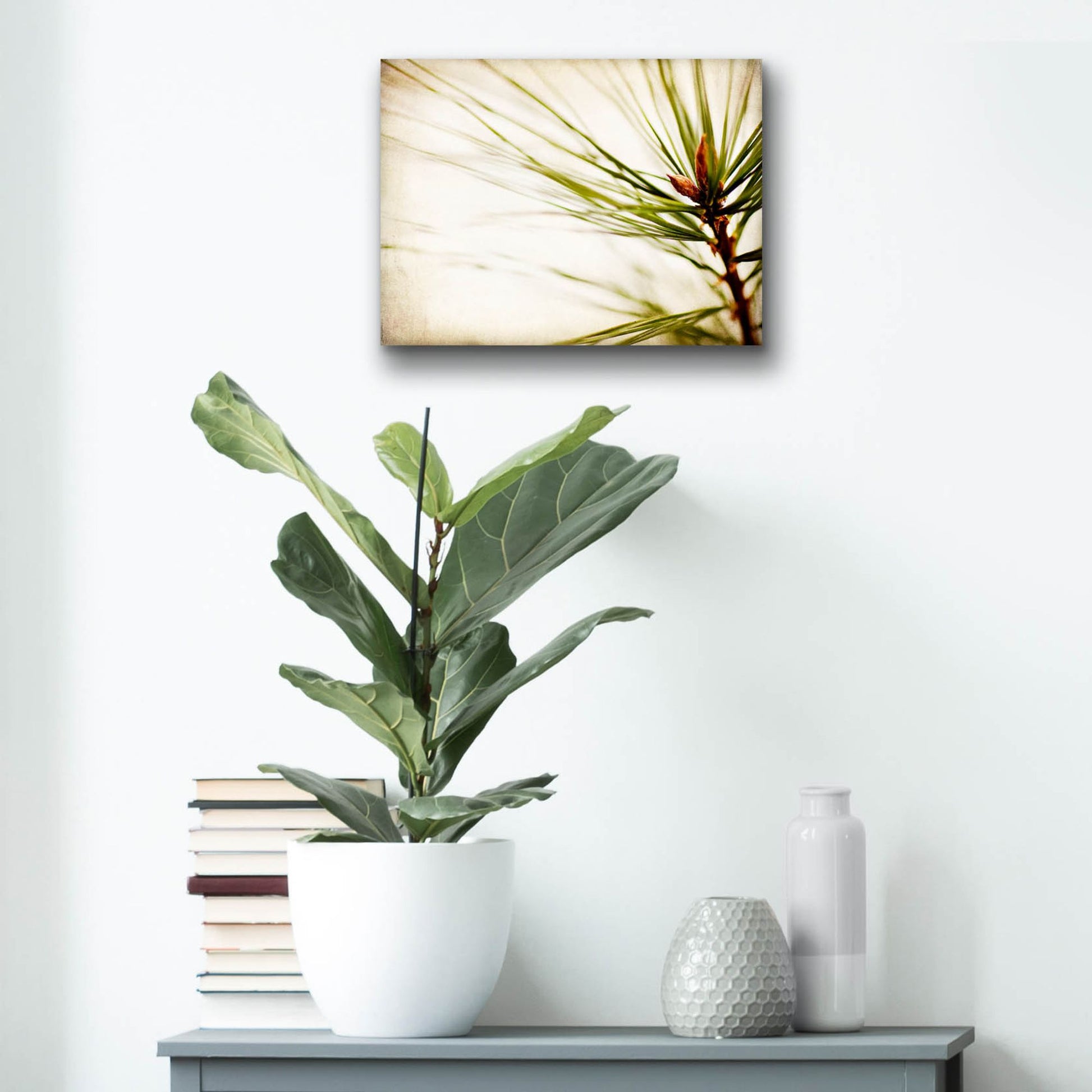 Epic Art 'Pine Needles' by Jessica Rogers, Acrylic Glass Wall Art,16x12