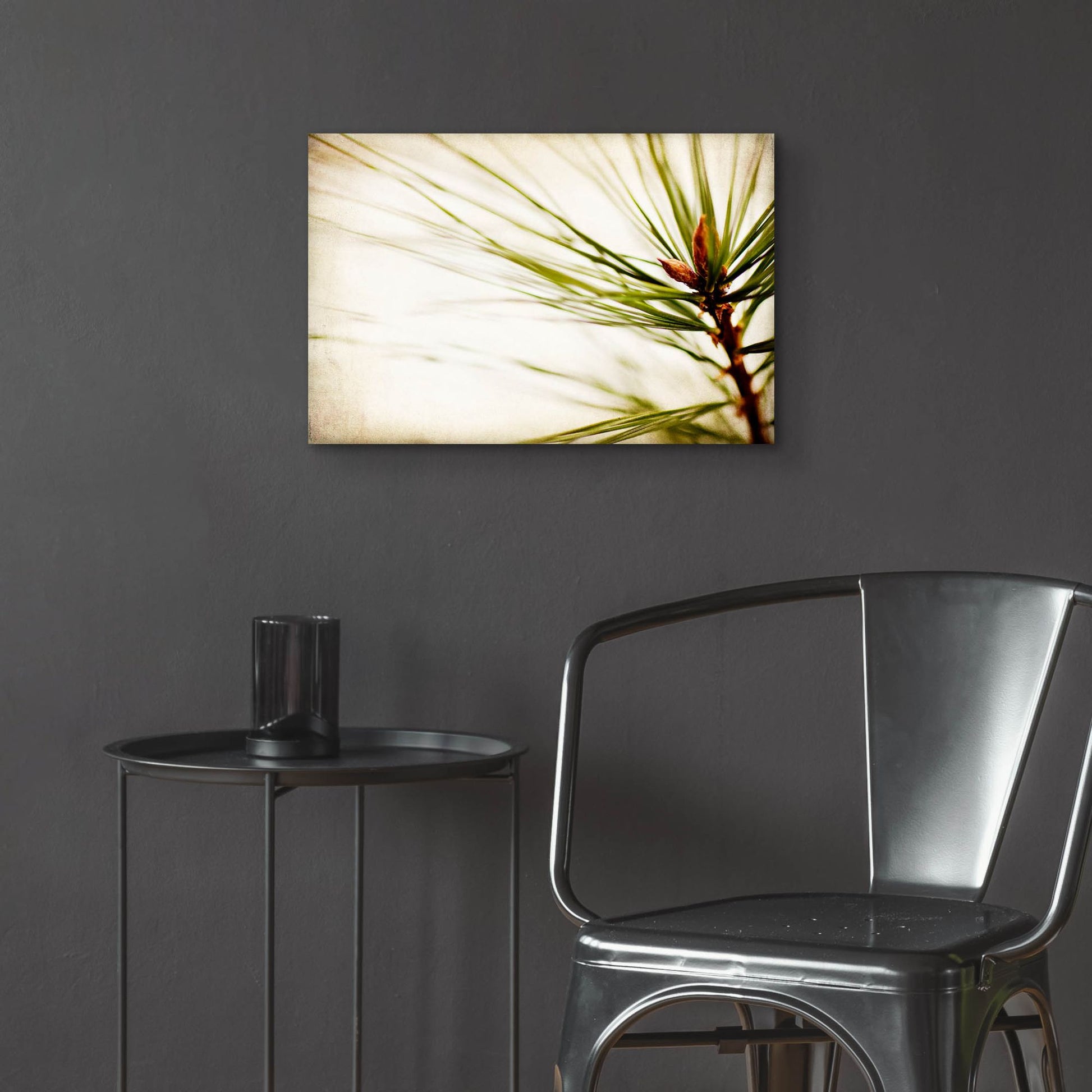 Epic Art 'Pine Needles' by Jessica Rogers, Acrylic Glass Wall Art,24x16