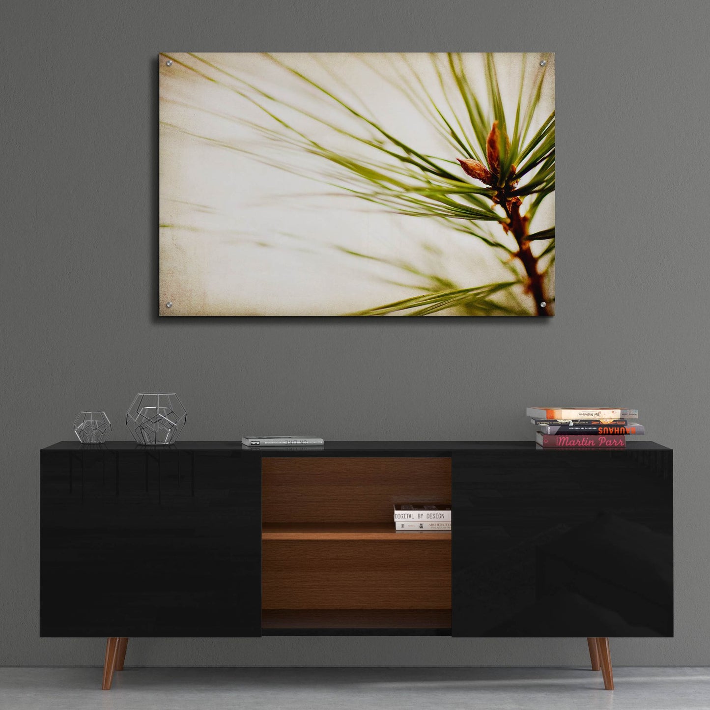 Epic Art 'Pine Needles' by Jessica Rogers, Acrylic Glass Wall Art,36x24