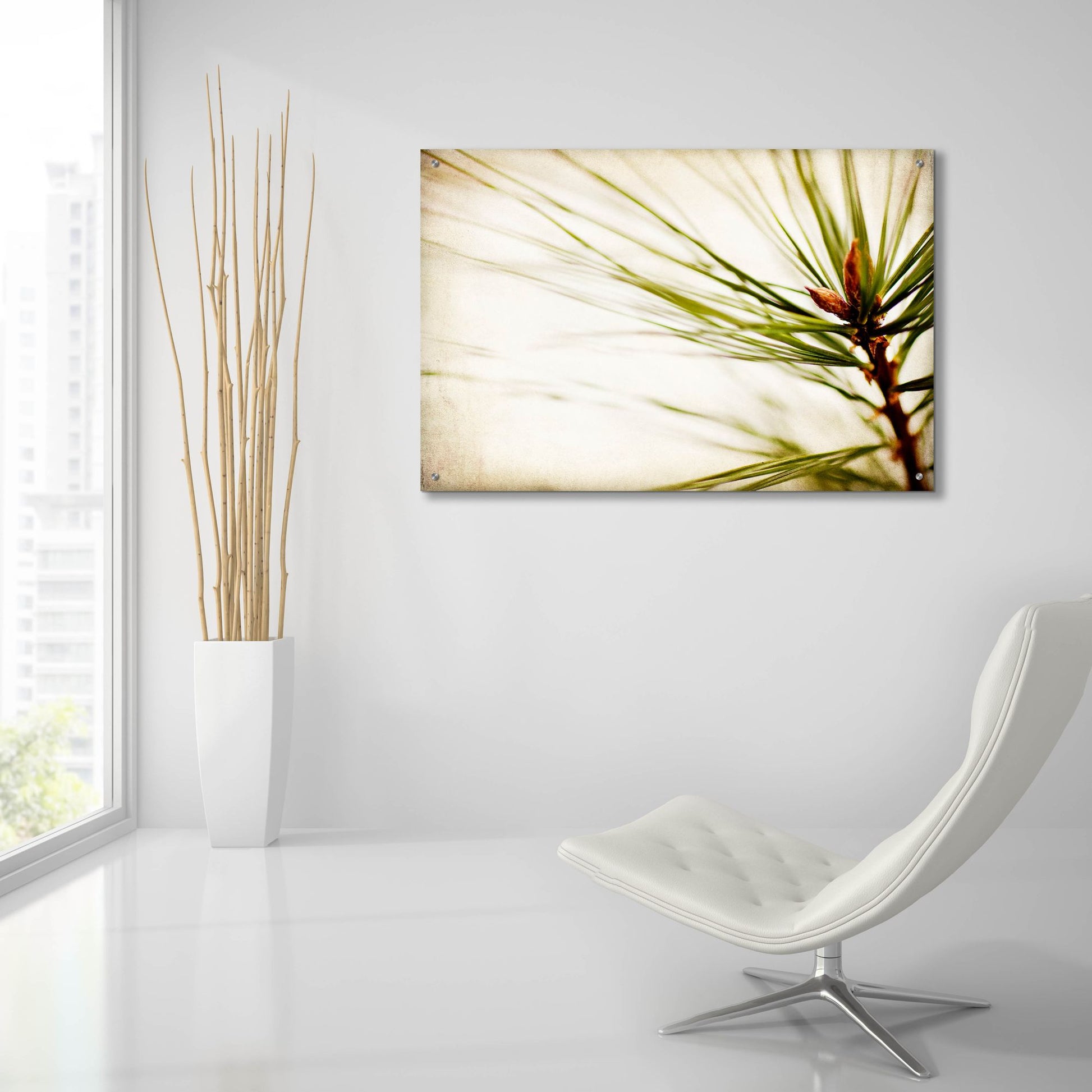 Epic Art 'Pine Needles' by Jessica Rogers, Acrylic Glass Wall Art,36x24