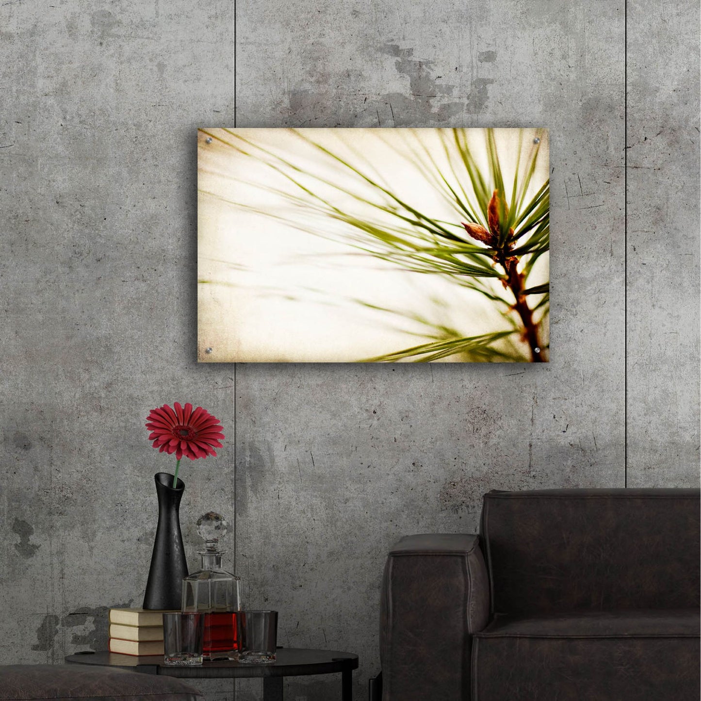 Epic Art 'Pine Needles' by Jessica Rogers, Acrylic Glass Wall Art,36x24