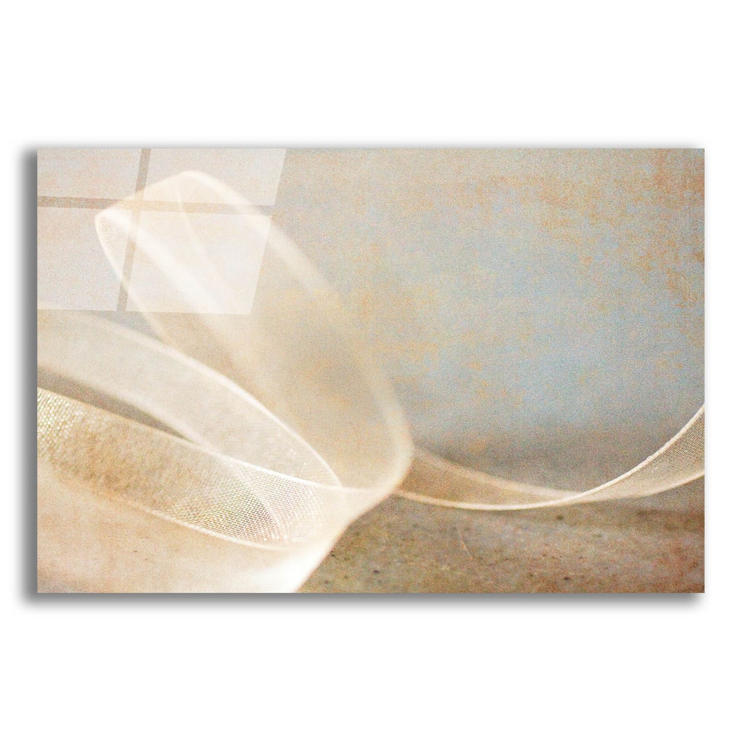 Epic Art 'Ribbon' by Jessica Rogers, Acrylic Glass Wall Art,16x12