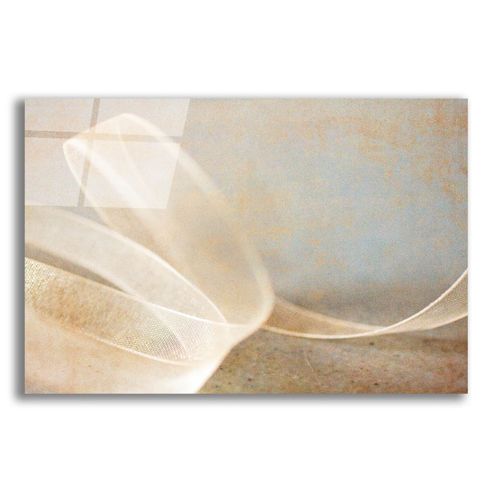 Epic Art 'Ribbon' by Jessica Rogers, Acrylic Glass Wall Art,24x16