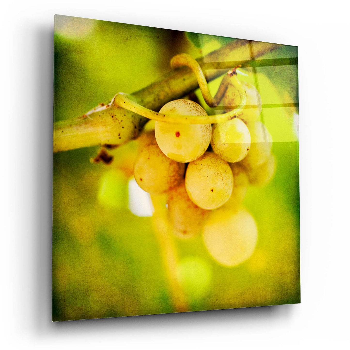 Epic Art 'Spring Fruit' by Jessica Rogers, Acrylic Glass Wall Art,12x12