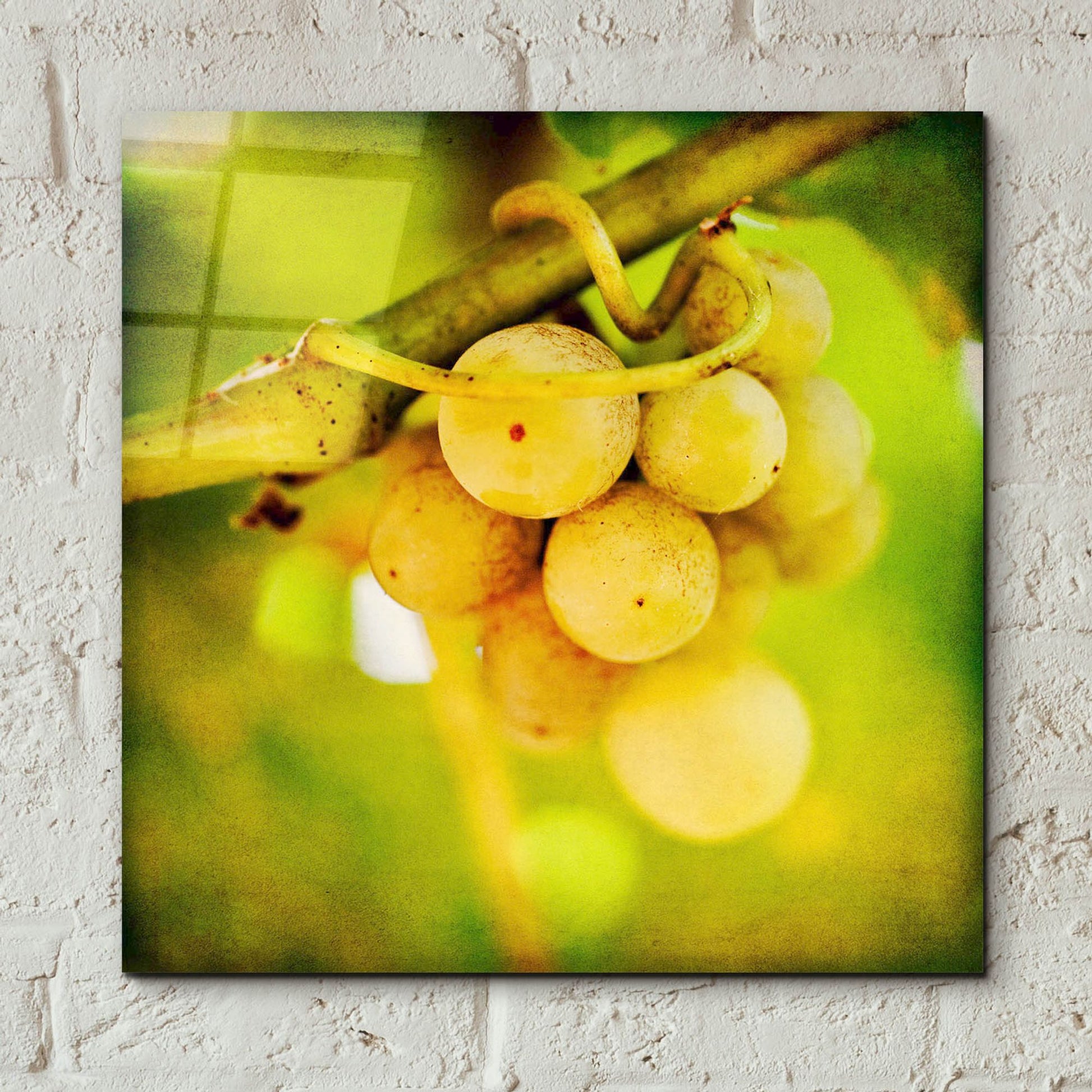 Epic Art 'Spring Fruit' by Jessica Rogers, Acrylic Glass Wall Art,12x12