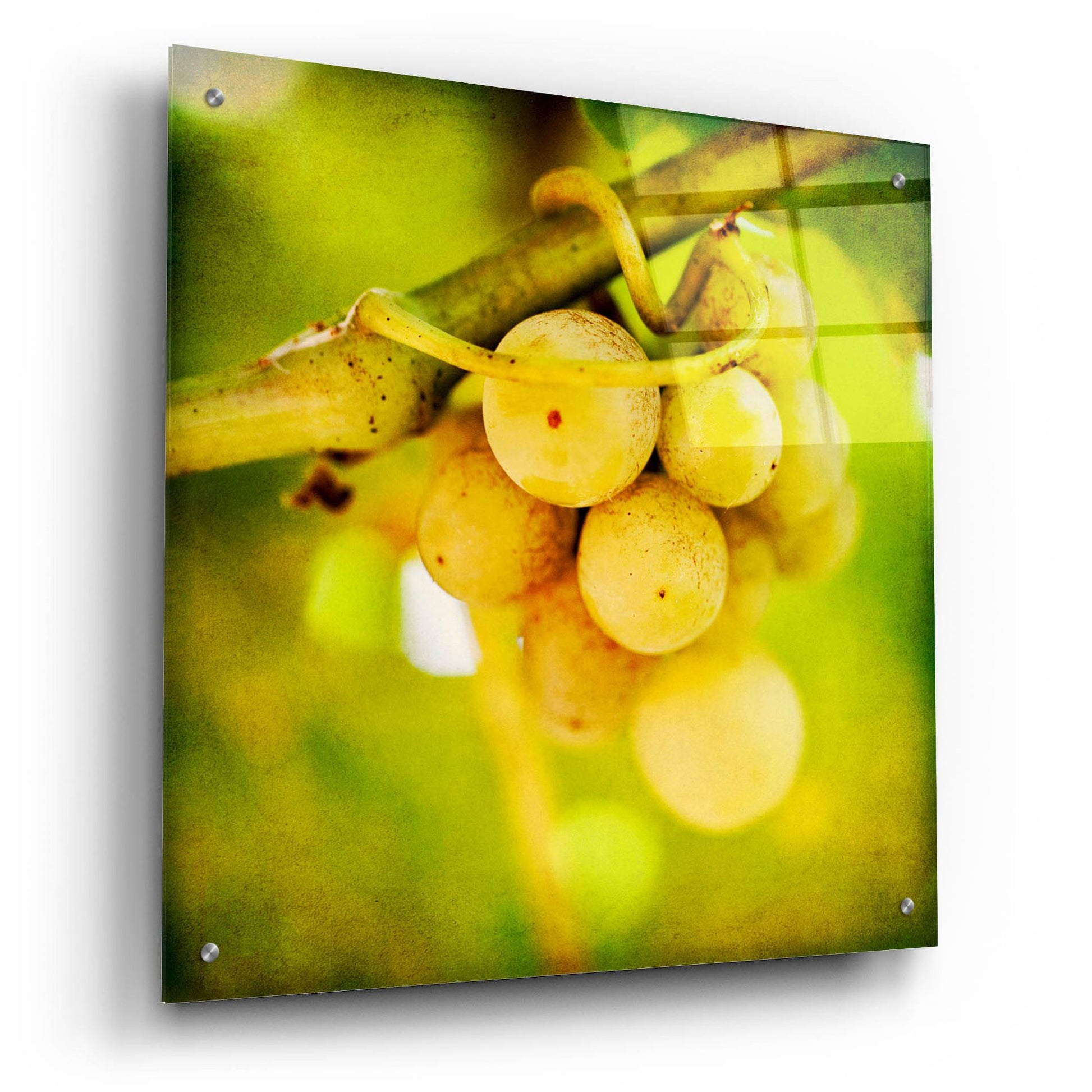 Epic Art 'Spring Fruit' by Jessica Rogers, Acrylic Glass Wall Art,24x24