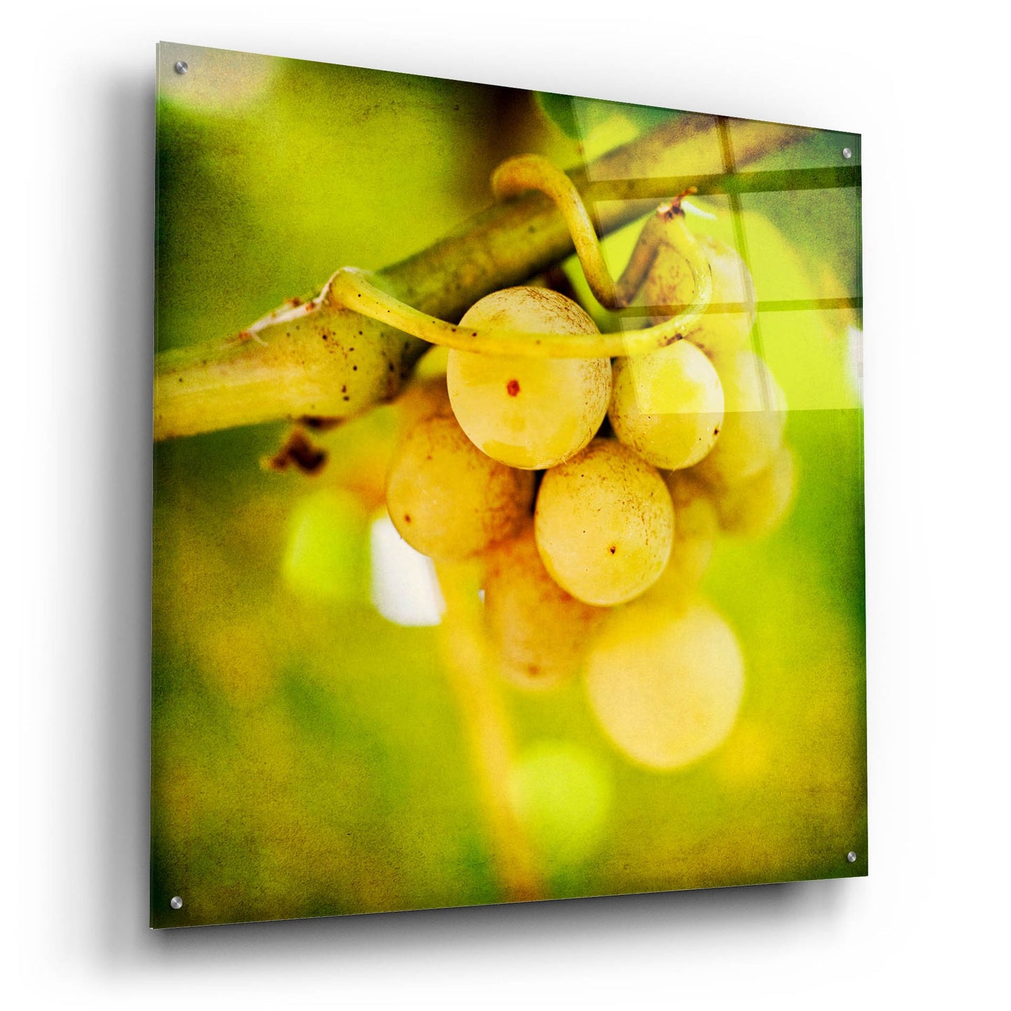 Epic Art 'Spring Fruit' by Jessica Rogers, Acrylic Glass Wall Art,36x36