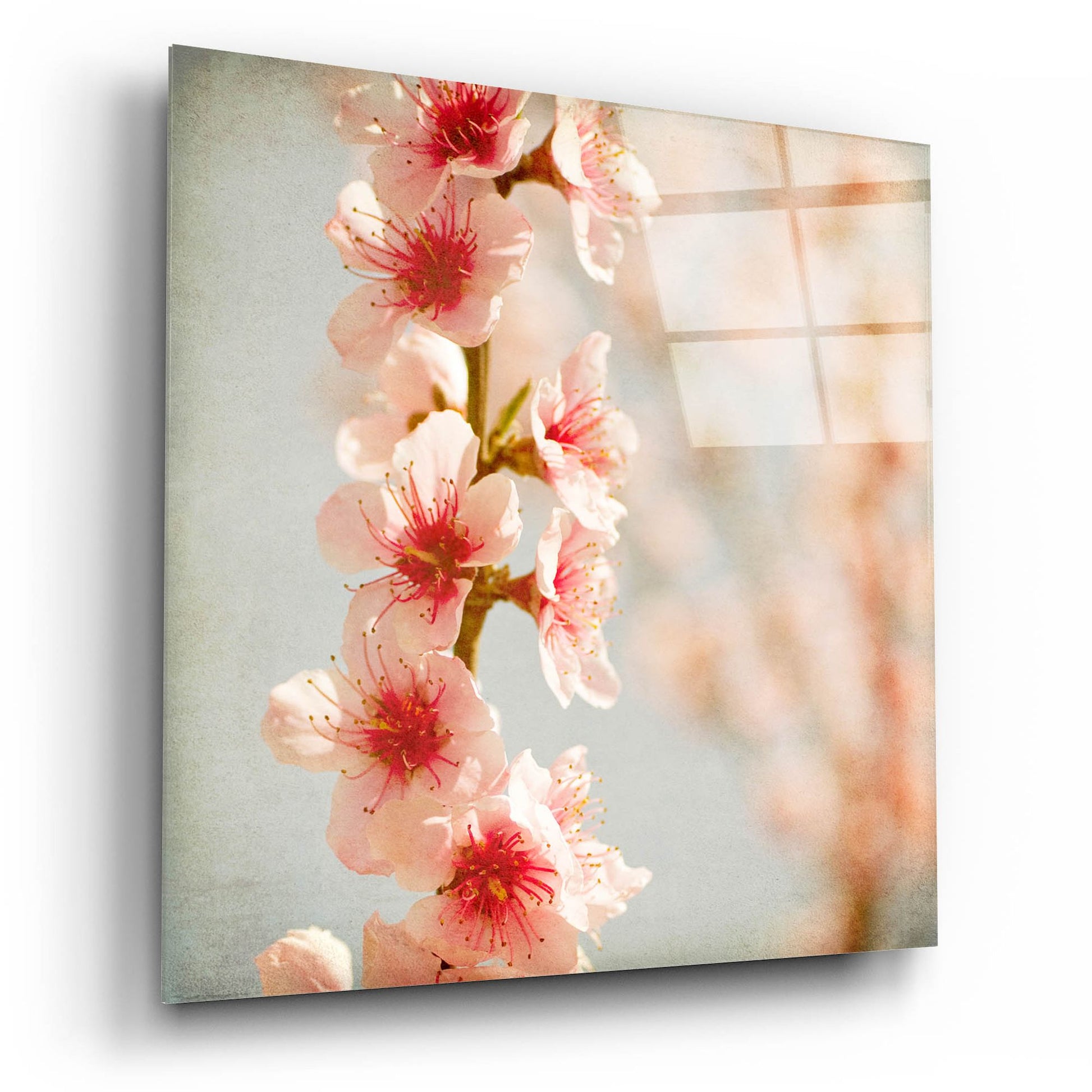 Epic Art 'Spring Whispers 4' by Jessica Rogers, Acrylic Glass Wall Art,12x12