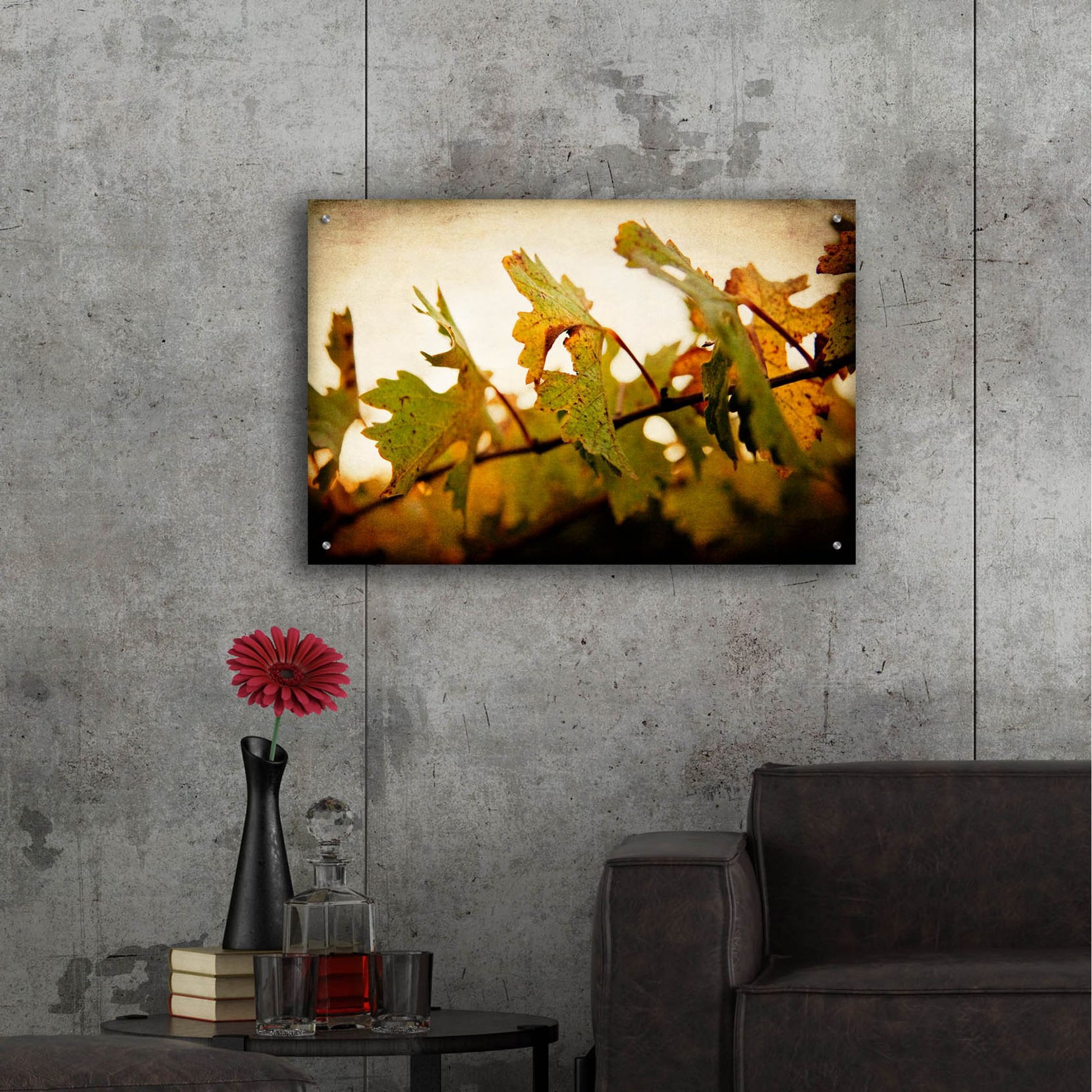 Epic Art 'Sunset Vines' by Jessica Rogers, Acrylic Glass Wall Art,36x24