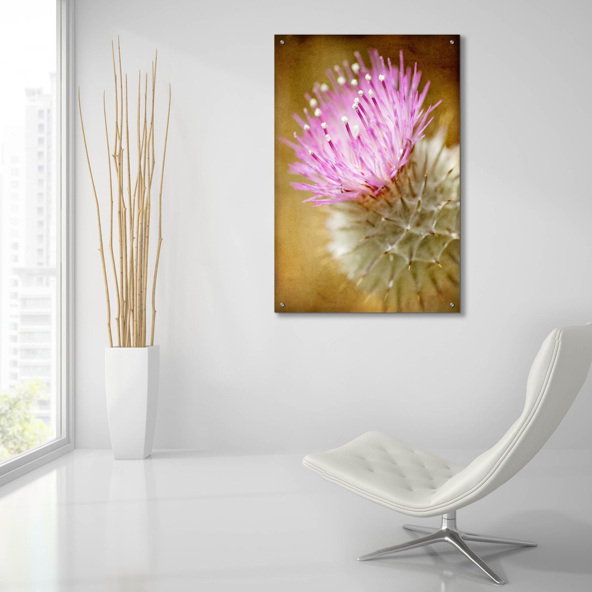 Epic Art 'Thistle Bloom' by Jessica Rogers, Acrylic Glass Wall Art,24x36