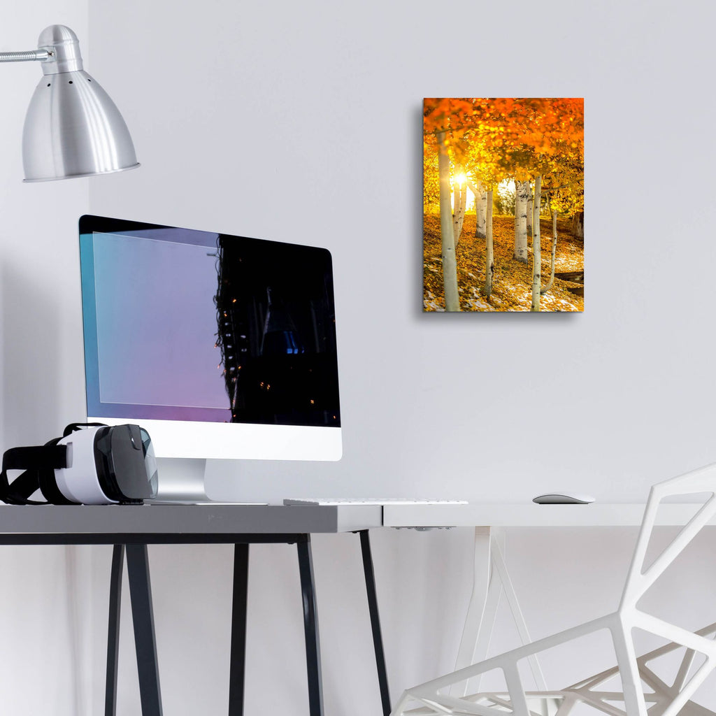 Epic Art 'Aspen Glow' by Jonathan Ross, Acrylic Glass Wall Art,12x16