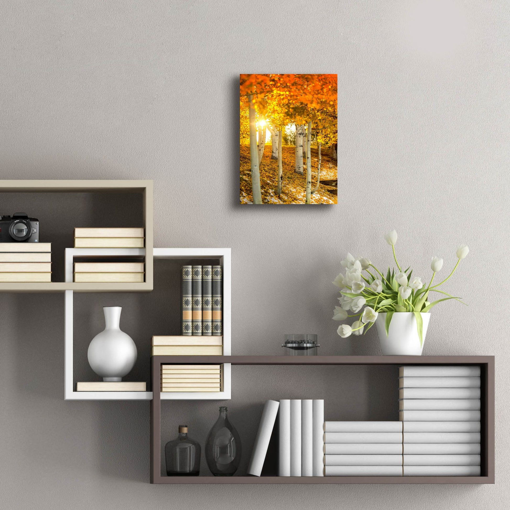 Epic Art 'Aspen Glow' by Jonathan Ross, Acrylic Glass Wall Art,12x16