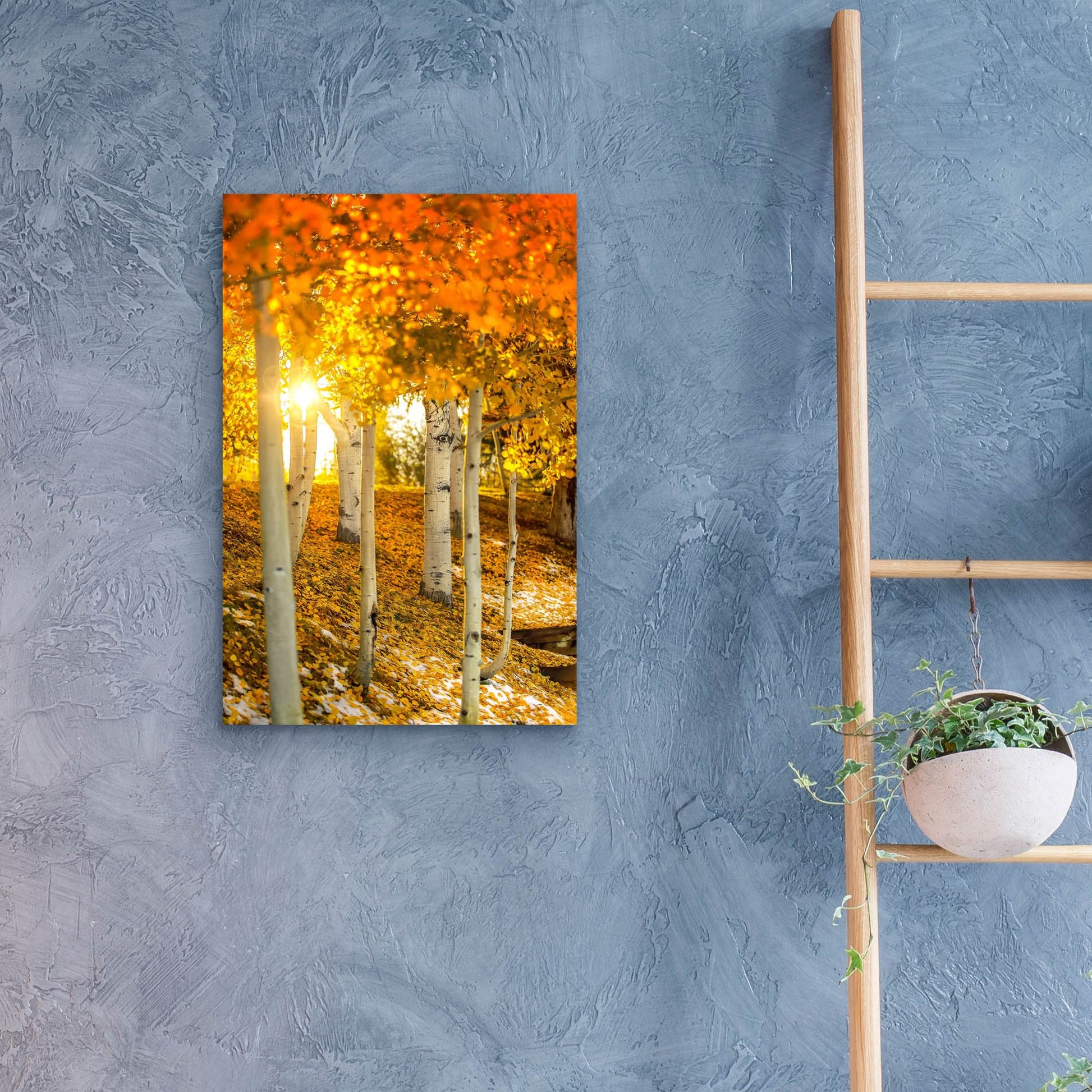 Epic Art 'Aspen Glow' by Jonathan Ross, Acrylic Glass Wall Art,16x24