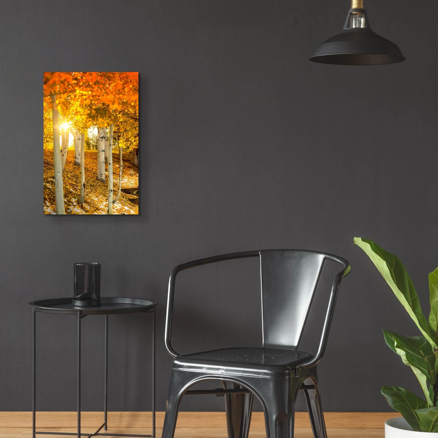 Epic Art 'Aspen Glow' by Jonathan Ross, Acrylic Glass Wall Art,16x24