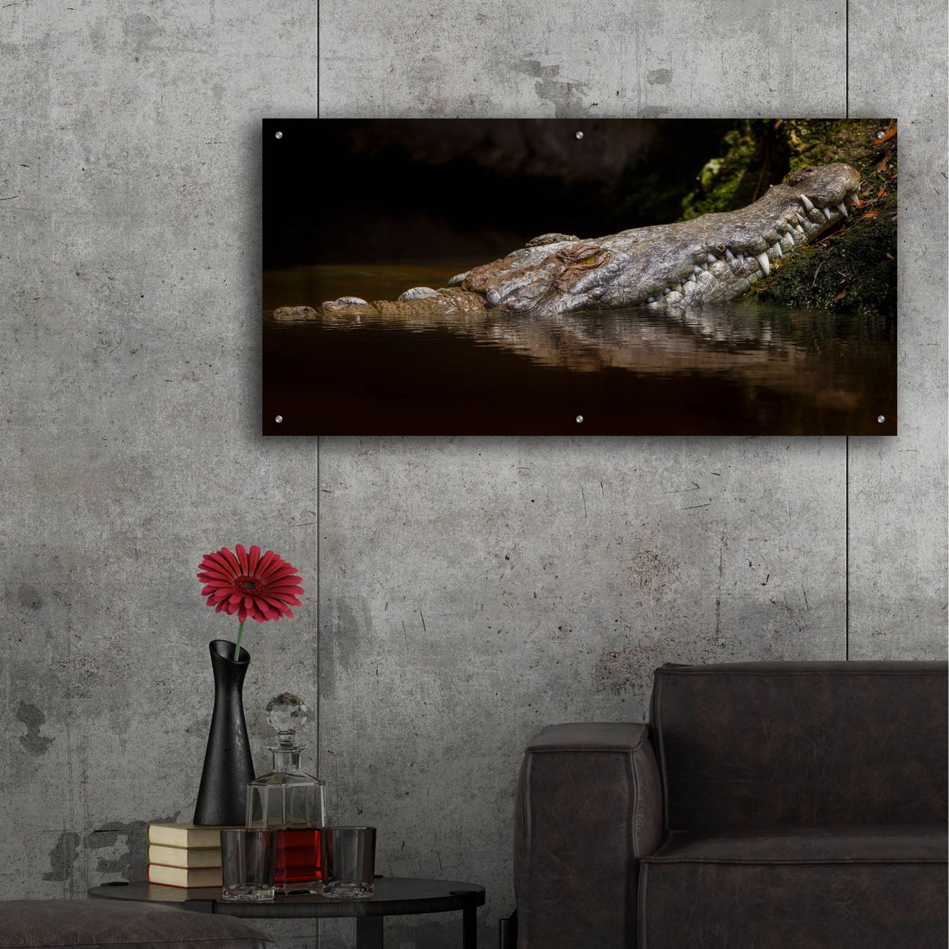 Epic Art 'Crocodile Smile' by Jonathan Ross, Acrylic Glass Wall Art,48x24