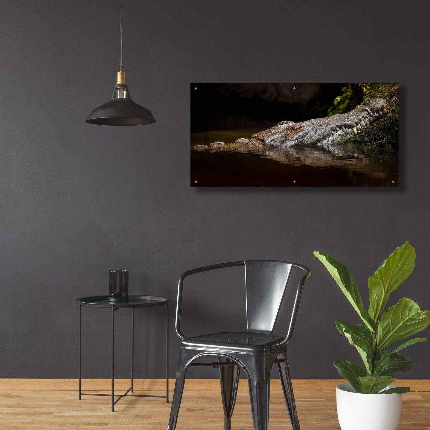 Epic Art 'Crocodile Smile' by Jonathan Ross, Acrylic Glass Wall Art,48x24