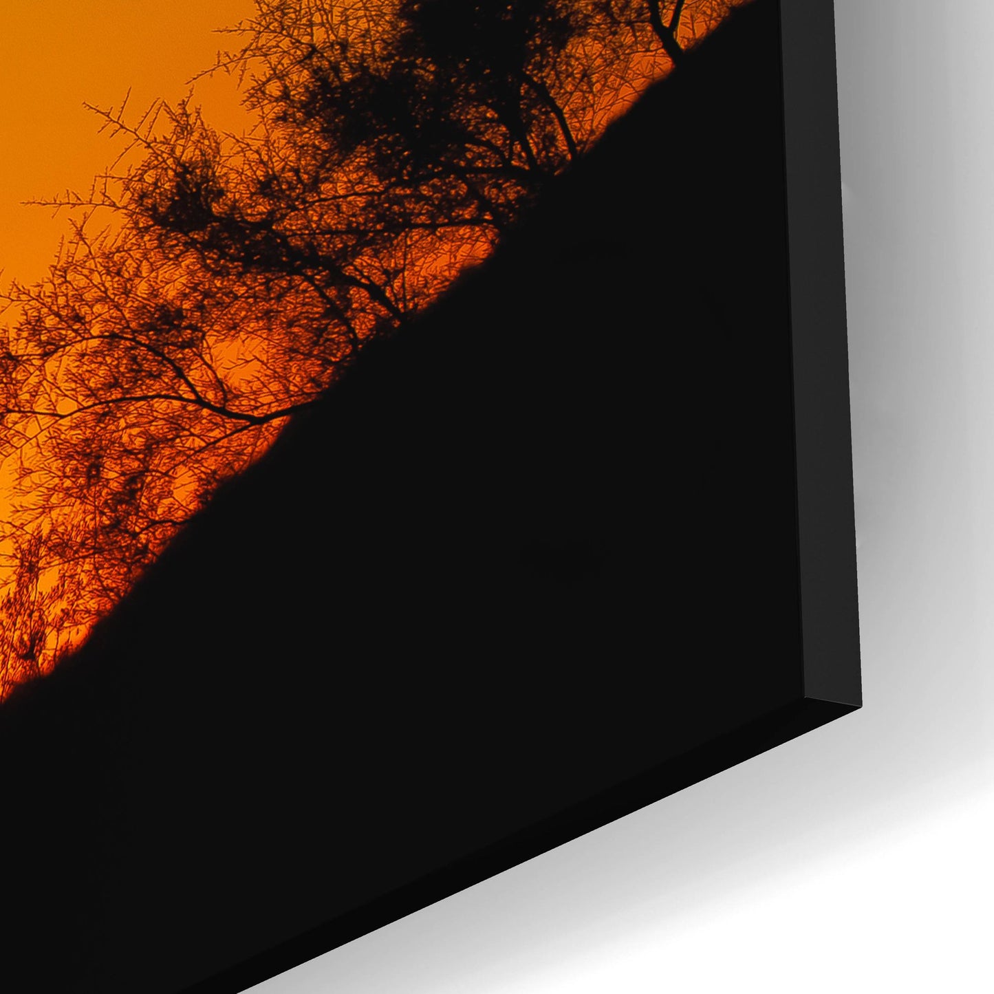 Epic Art 'Desert Sunset' by Jonathan Ross, Acrylic Glass Wall Art,24x12