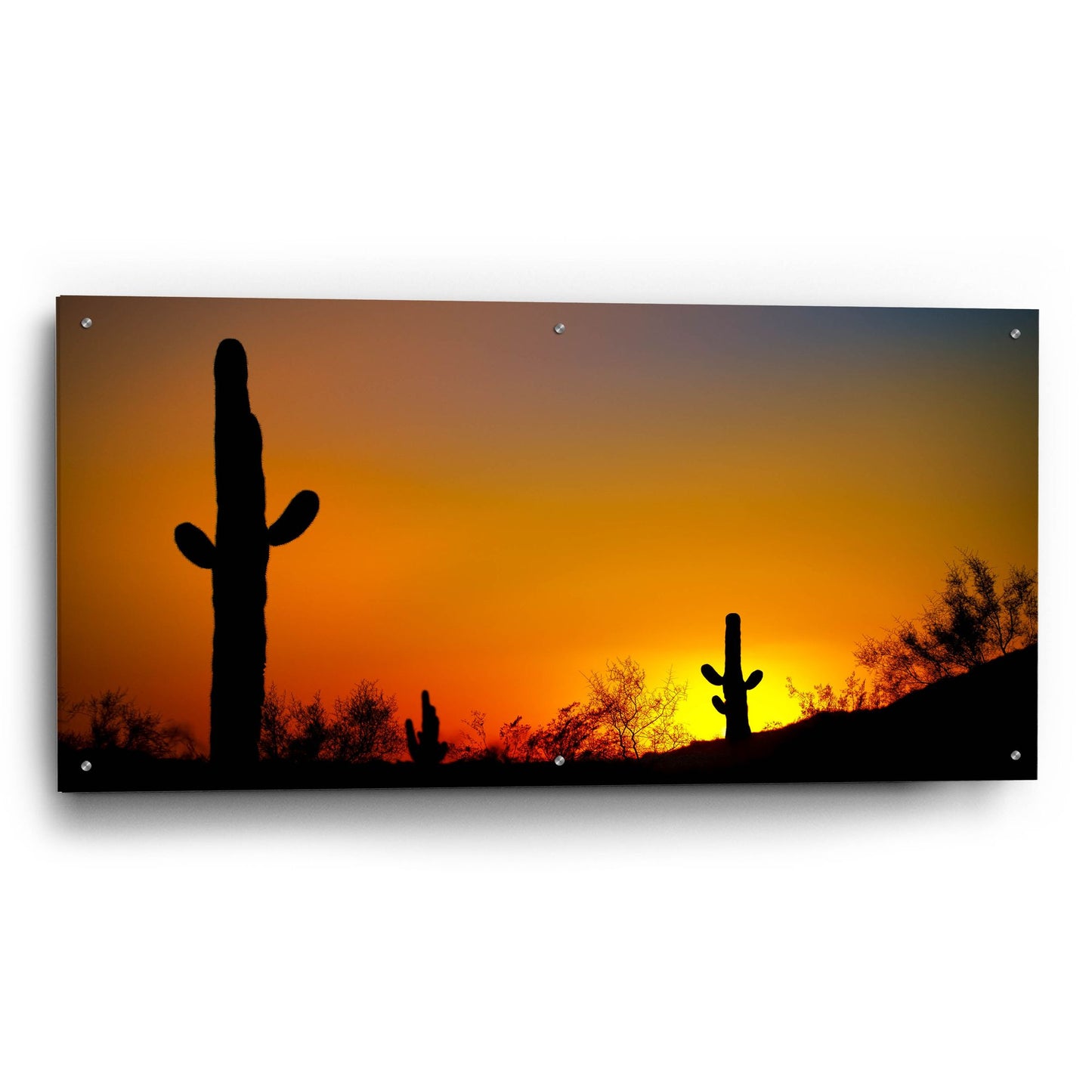 Epic Art 'Desert Sunset' by Jonathan Ross, Acrylic Glass Wall Art,48x24