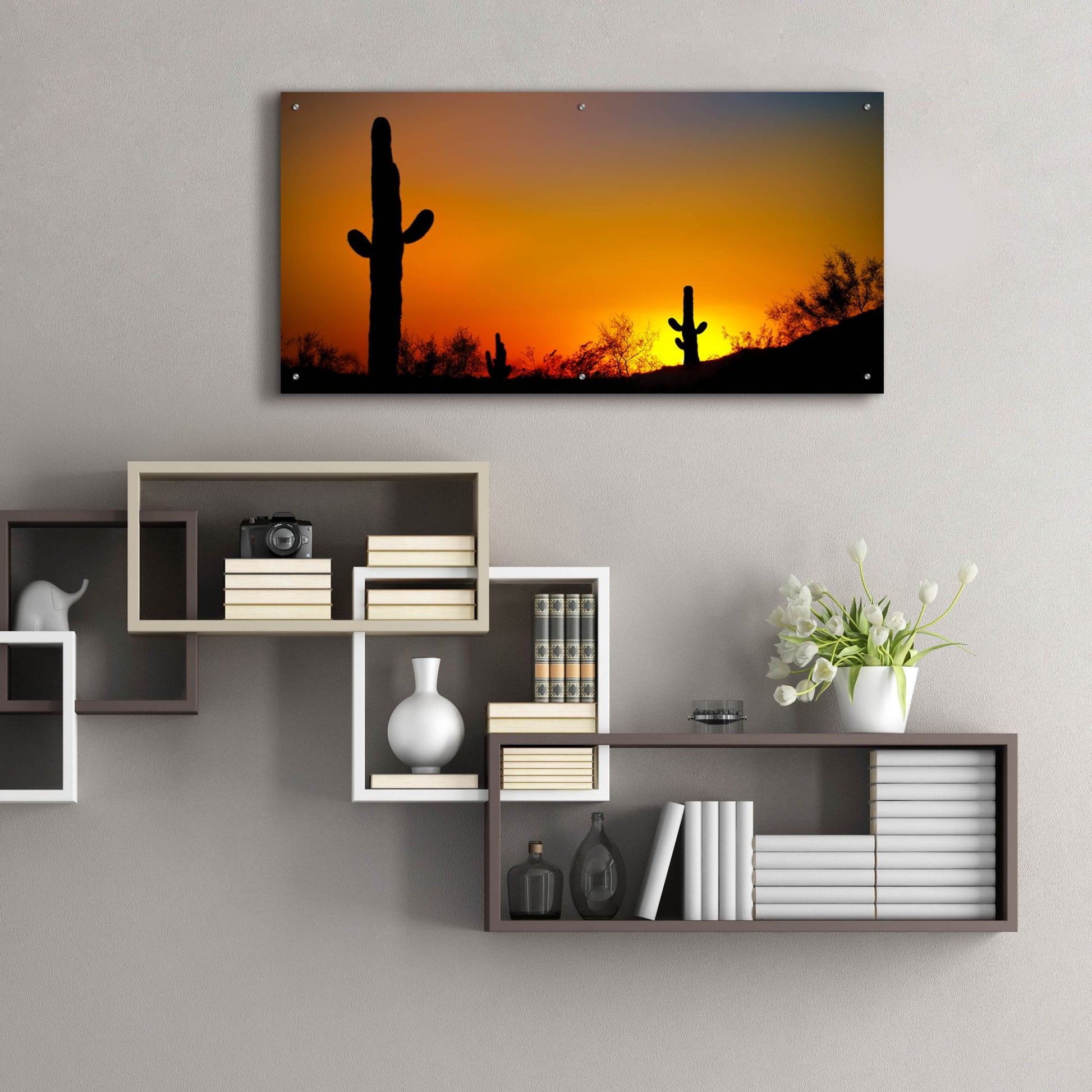 Epic Art 'Desert Sunset' by Jonathan Ross, Acrylic Glass Wall Art,48x24