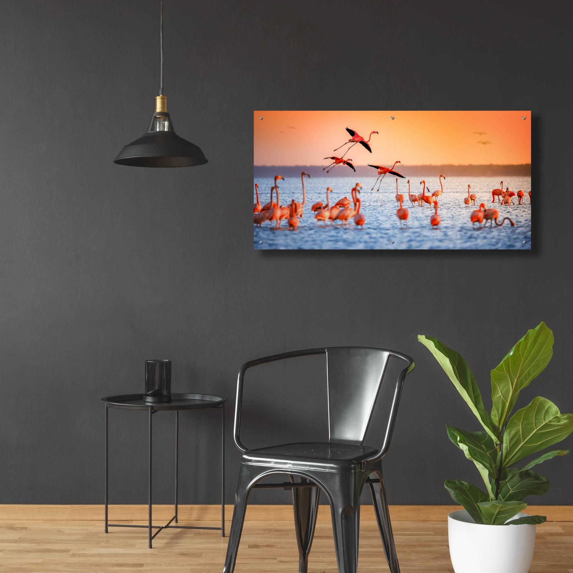 Epic Art 'Flamingo Flight' by Jonathan Ross, Acrylic Glass Wall Art,48x24