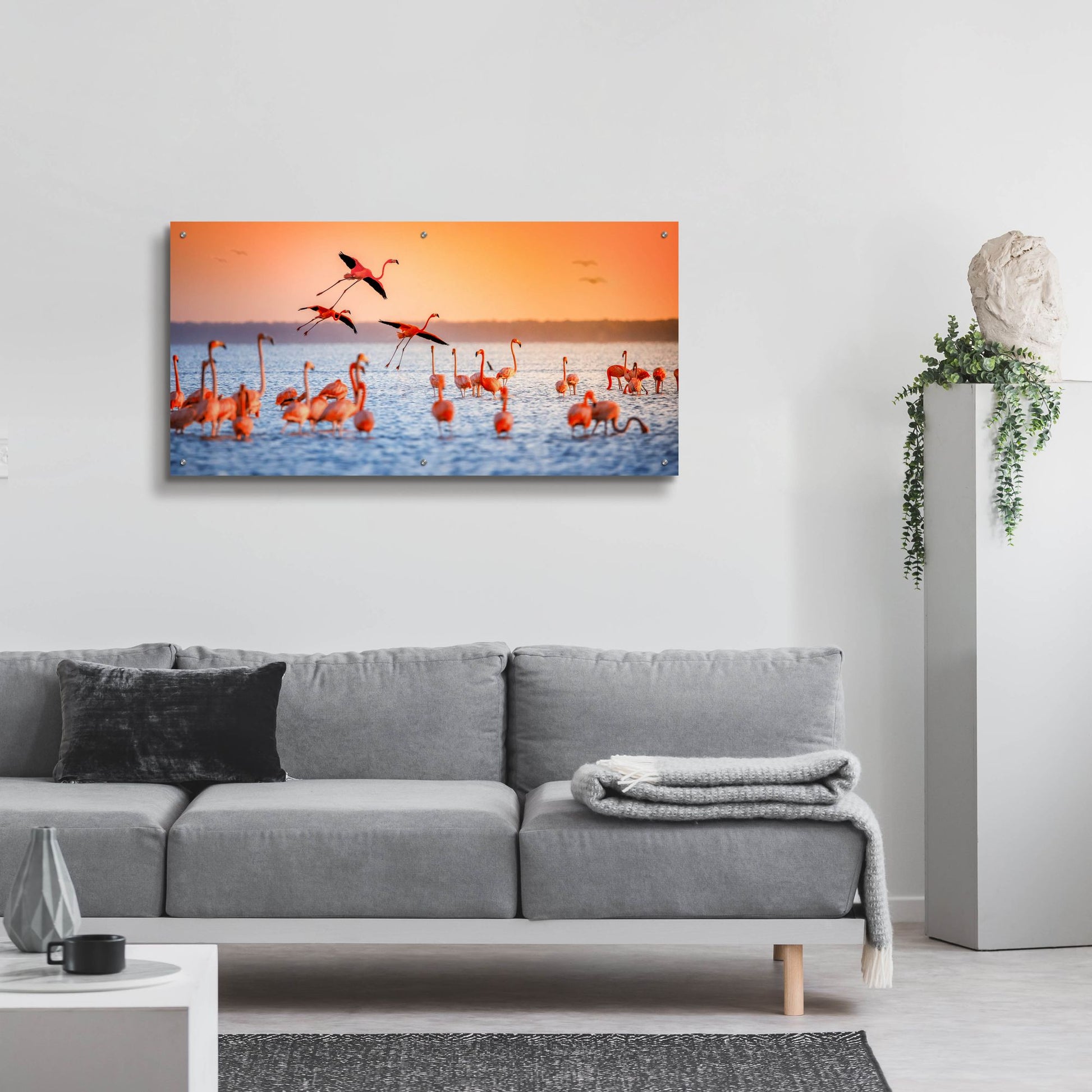 Epic Art 'Flamingo Flight' by Jonathan Ross, Acrylic Glass Wall Art,48x24