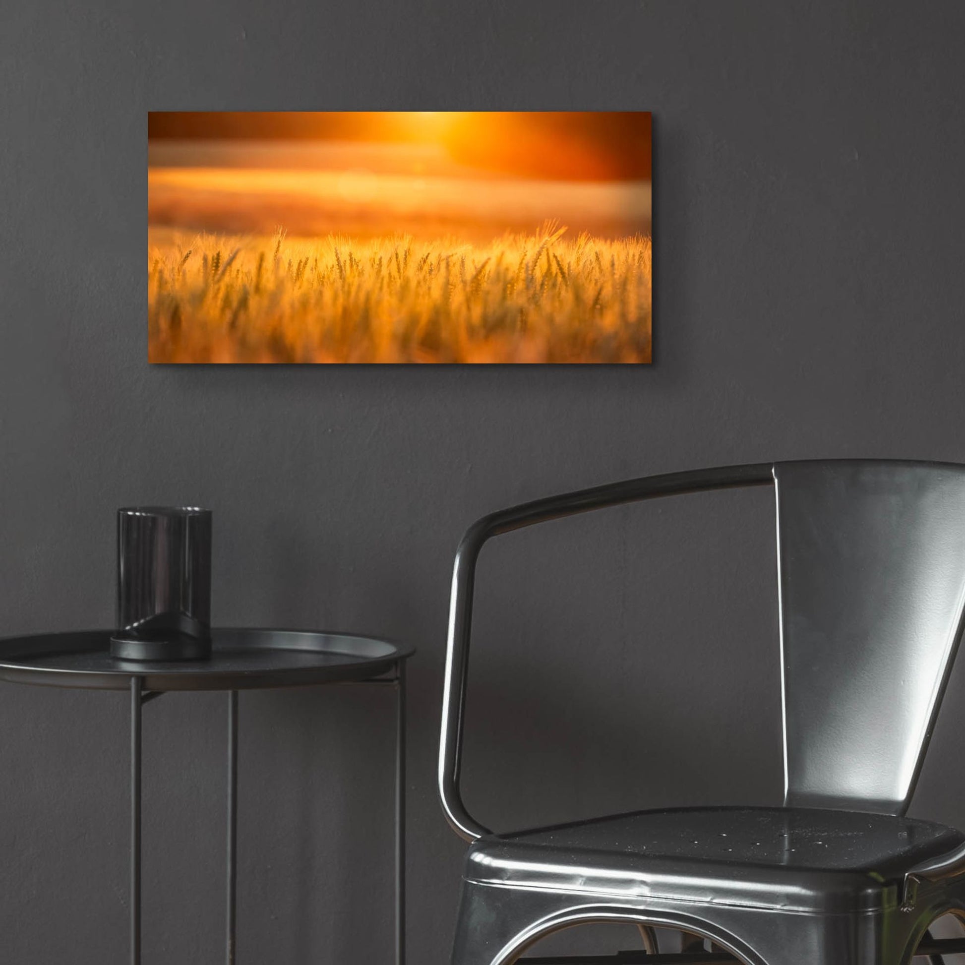 Epic Art 'Golden Wheat' by Jonathan Ross, Acrylic Glass Wall Art,24x12