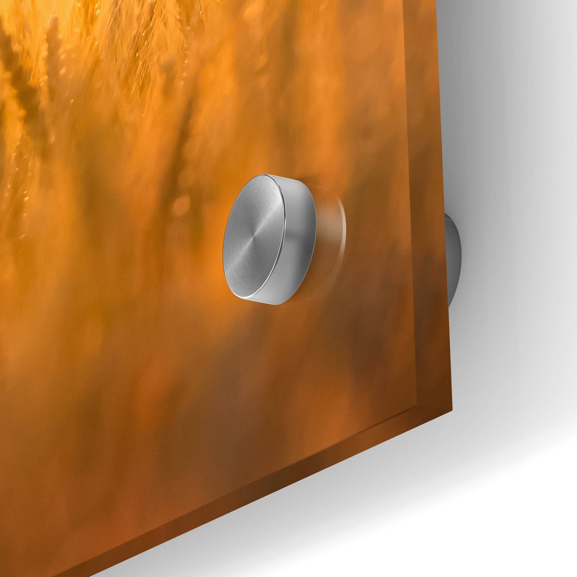 Epic Art 'Golden Wheat' by Jonathan Ross, Acrylic Glass Wall Art,48x24