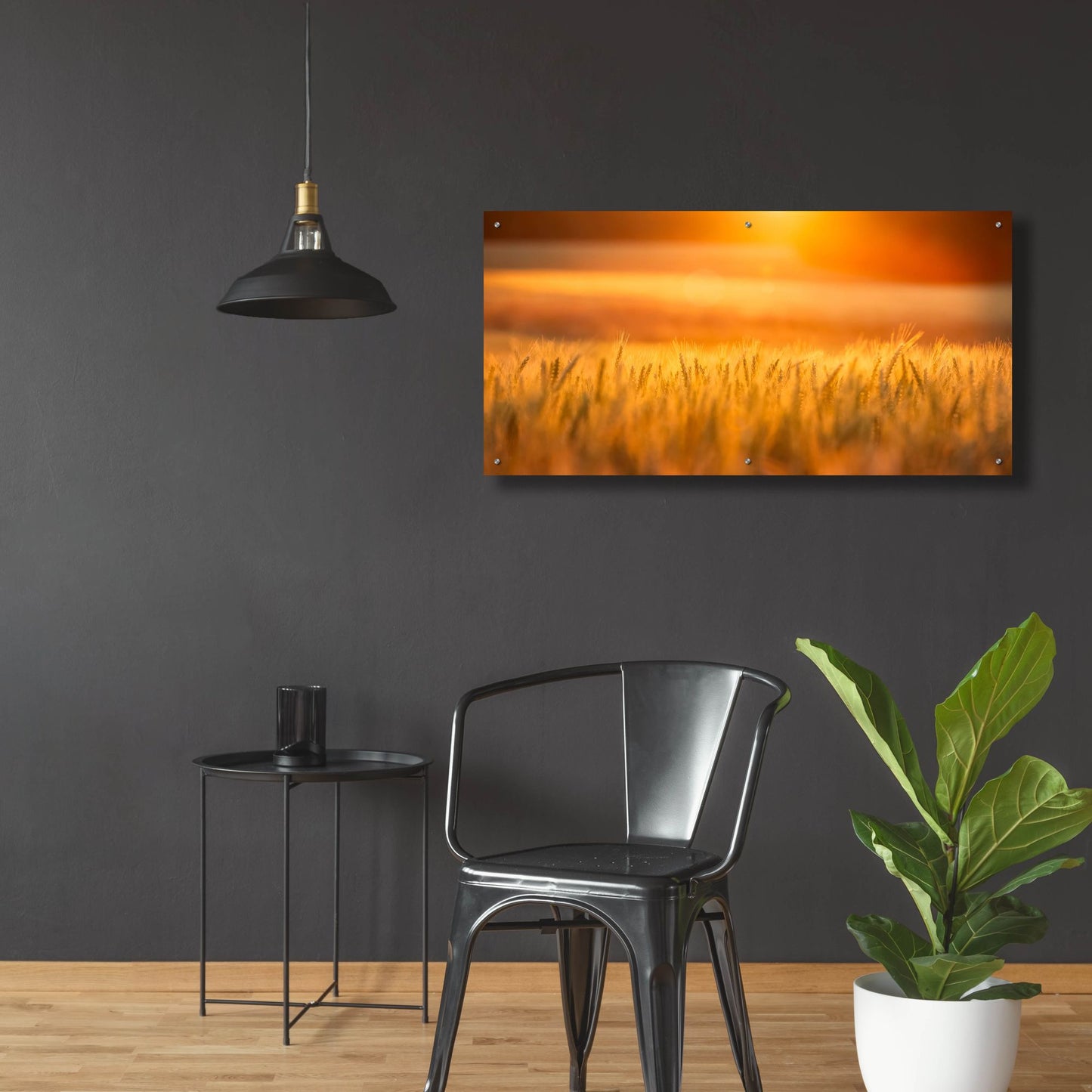 Epic Art 'Golden Wheat' by Jonathan Ross, Acrylic Glass Wall Art,48x24