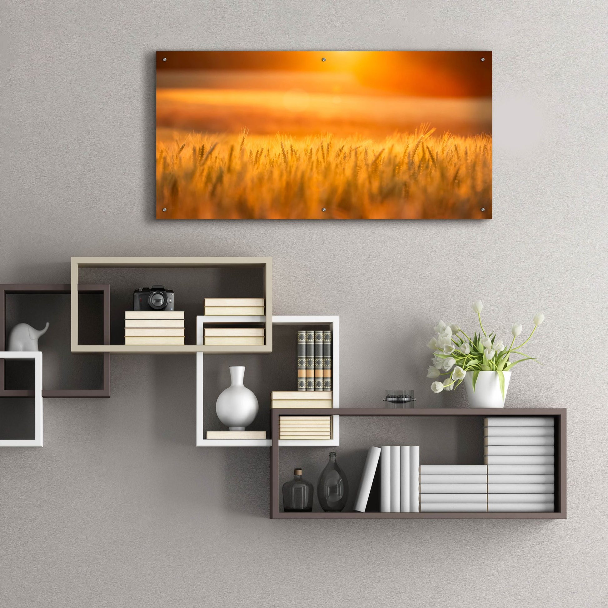 Epic Art 'Golden Wheat' by Jonathan Ross, Acrylic Glass Wall Art,48x24