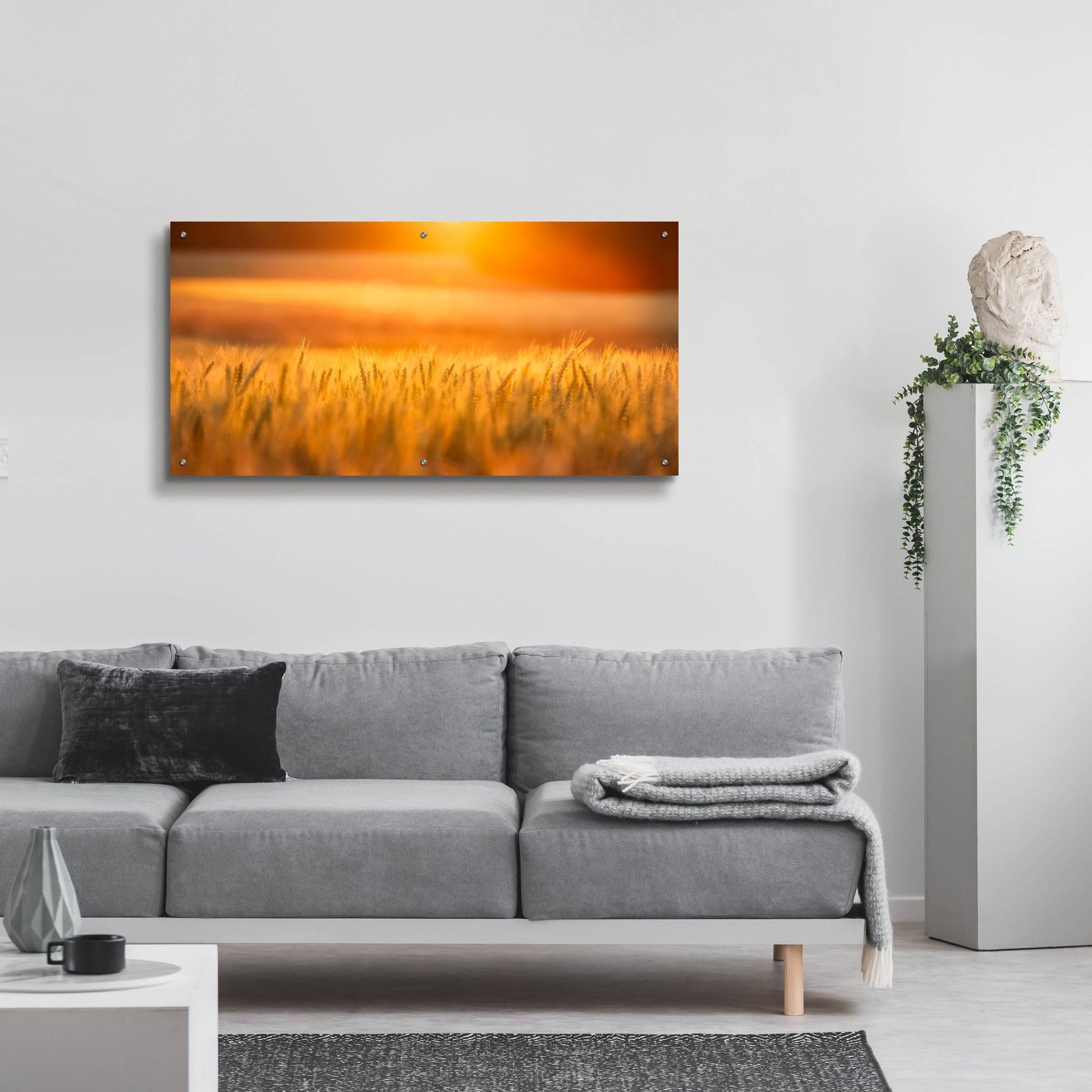 Epic Art 'Golden Wheat' by Jonathan Ross, Acrylic Glass Wall Art,48x24
