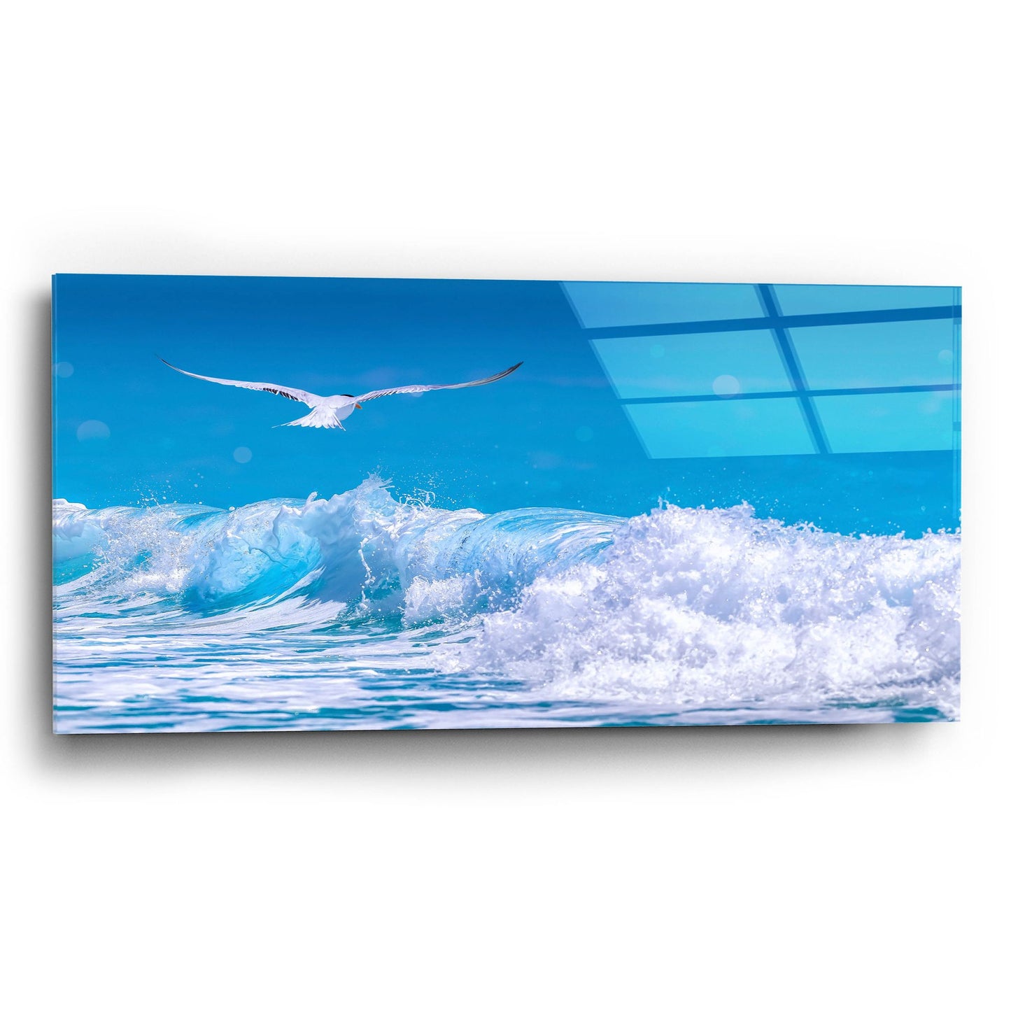 Epic Art 'Gull In The Waves' by Jonathan Ross, Acrylic Glass Wall Art,24x12