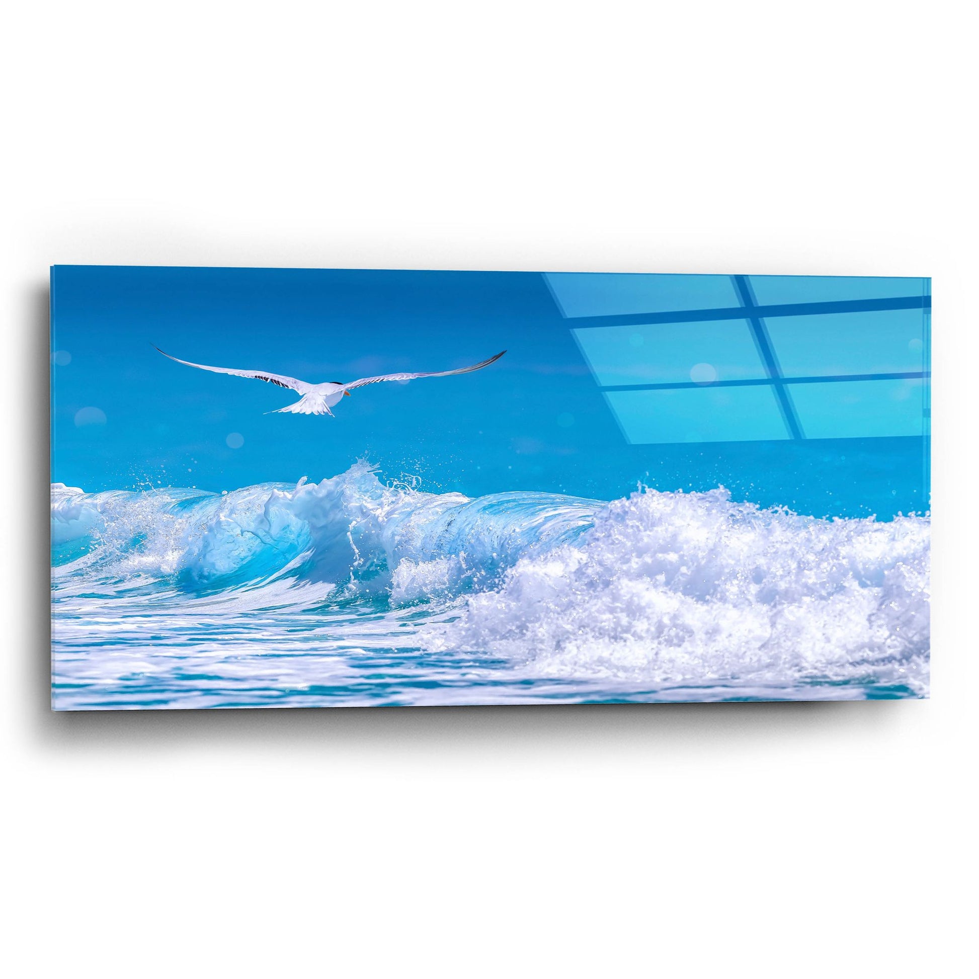 Epic Art 'Gull In The Waves' by Jonathan Ross, Acrylic Glass Wall Art,24x12