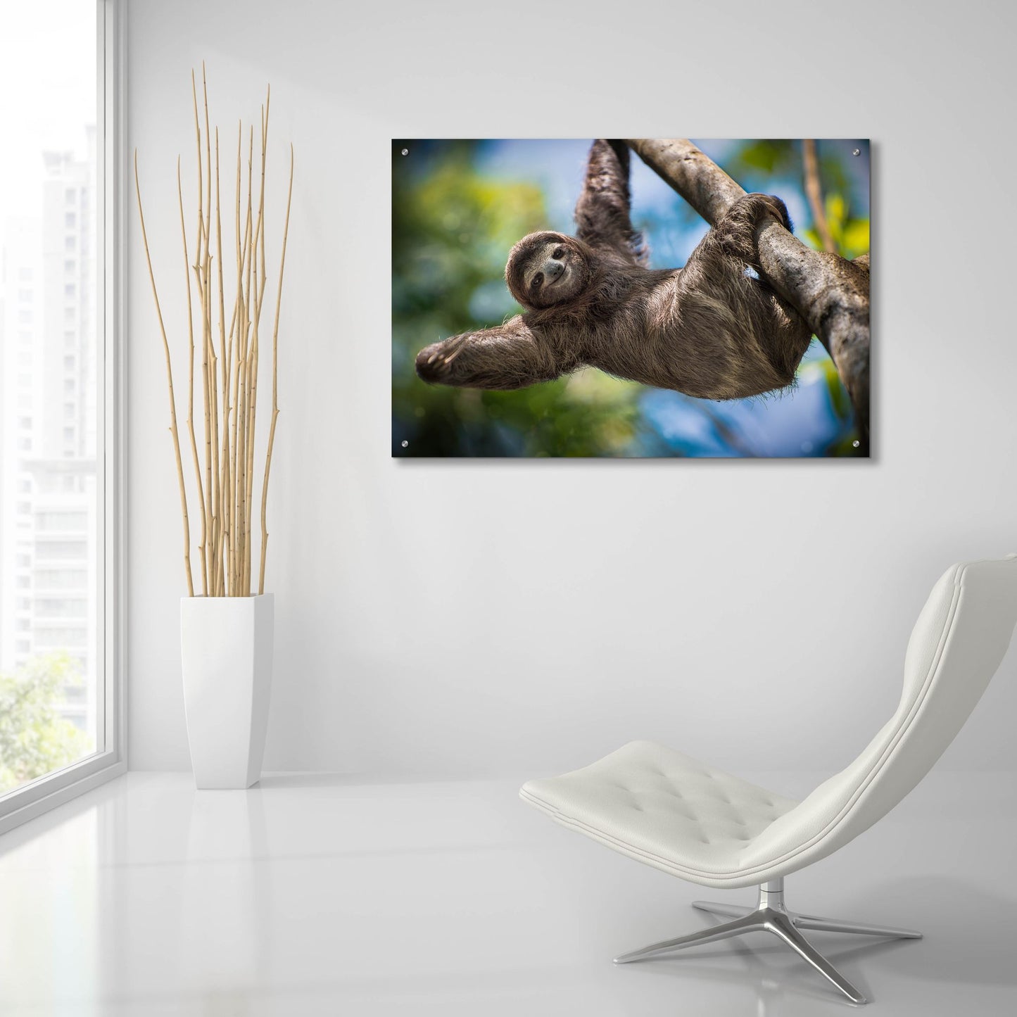 Epic Art 'Just Hanging Around' by Jonathan Ross, Acrylic Glass Wall Art,36x24