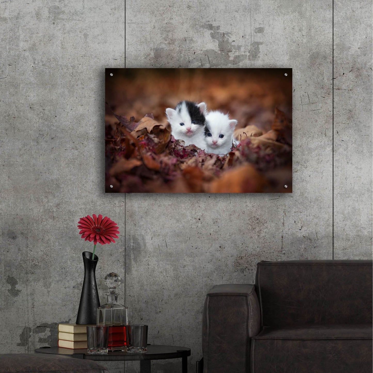 Epic Art 'Kitten Twins' by Jonathan Ross, Acrylic Glass Wall Art,36x24