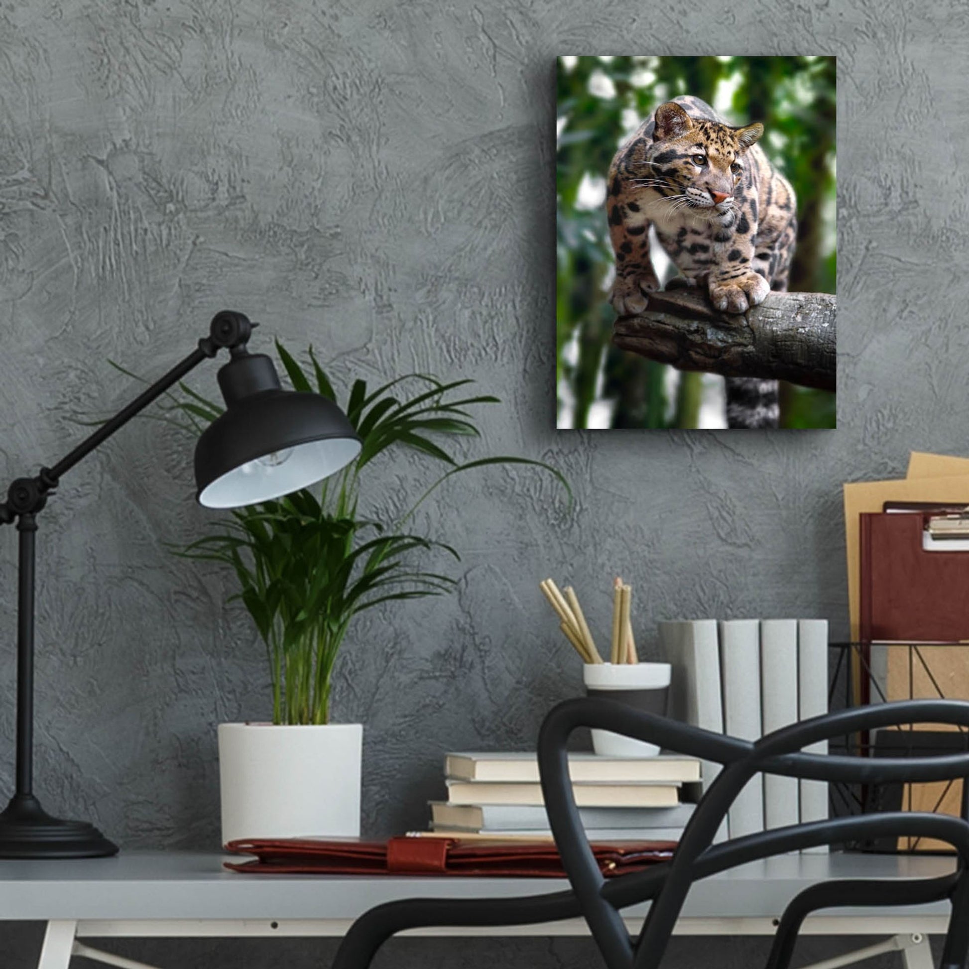 Epic Art 'Leopard Stare' by Jonathan Ross, Acrylic Glass Wall Art,12x16