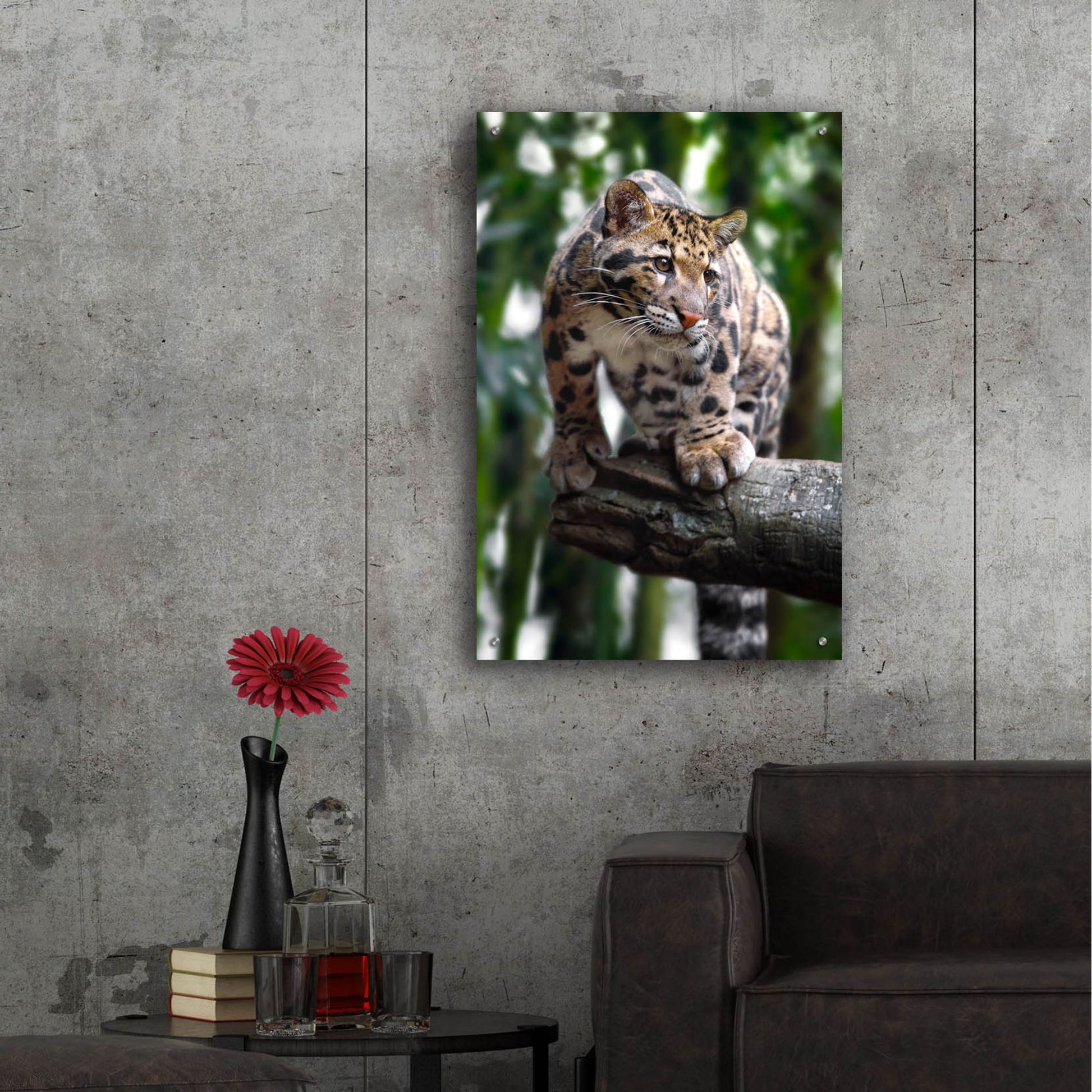 Epic Art 'Leopard Stare' by Jonathan Ross, Acrylic Glass Wall Art,24x36