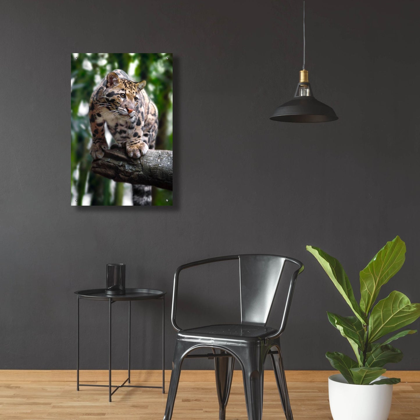 Epic Art 'Leopard Stare' by Jonathan Ross, Acrylic Glass Wall Art,24x36