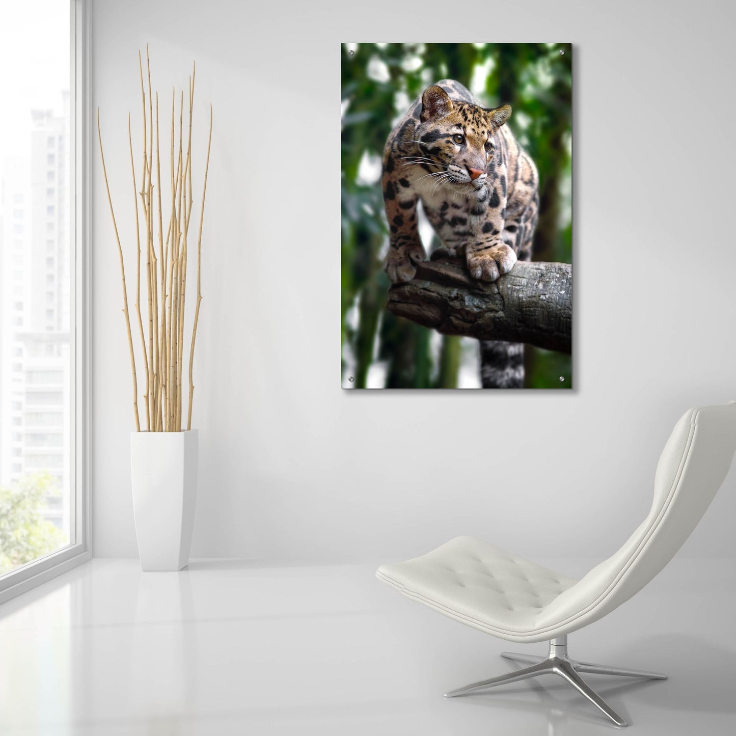 Epic Art 'Leopard Stare' by Jonathan Ross, Acrylic Glass Wall Art,24x36