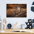 Epic Art 'Look Who'S There' by Jonathan Ross, Acrylic Glass Wall Art,16x12