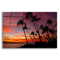 Epic Art 'Maui Sunset' by Jonathan Ross, Acrylic Glass Wall Art