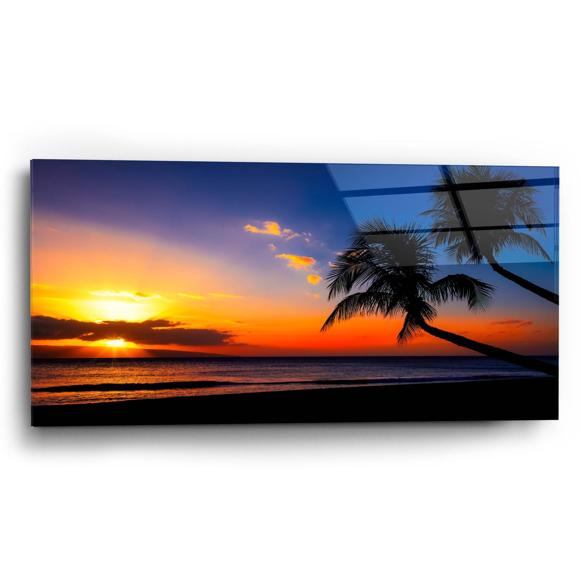 Epic Art 'Palm Trees Sunset' by Jonathan Ross, Acrylic Glass Wall Art,24x12