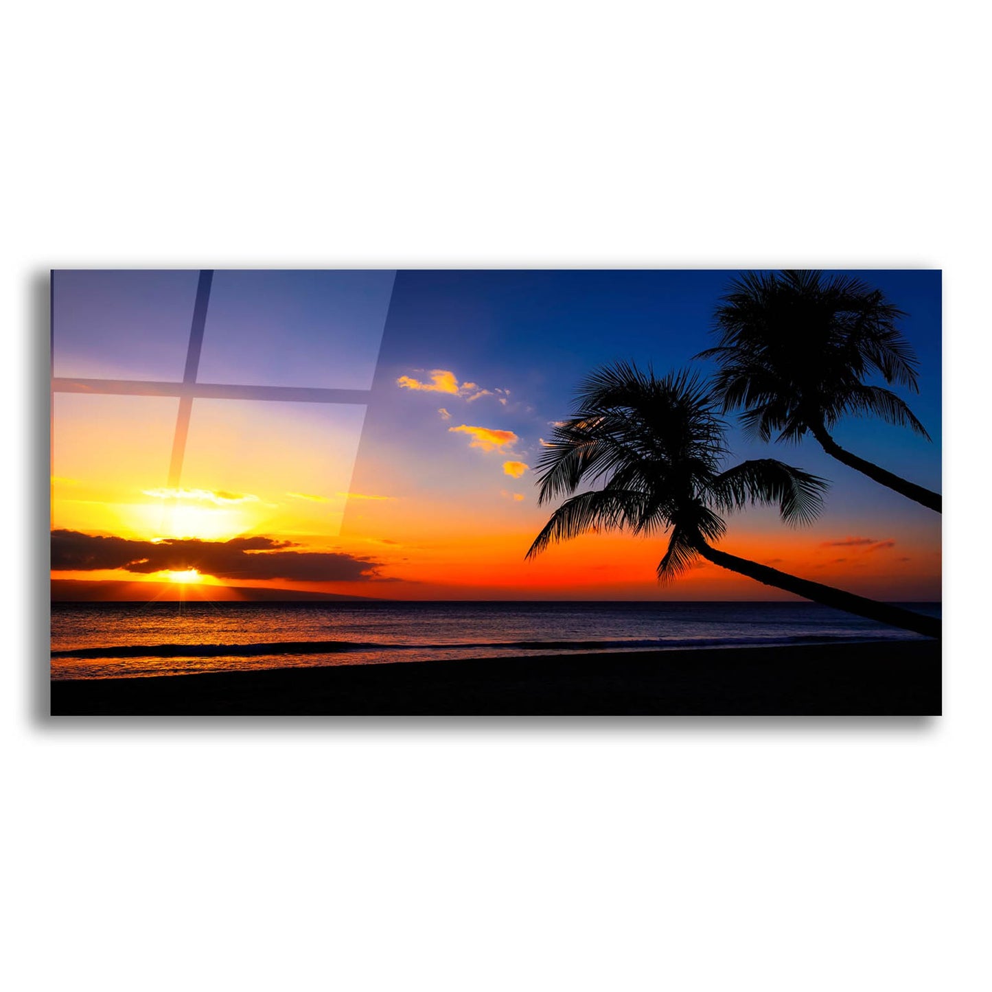 Epic Art 'Palm Trees Sunset' by Jonathan Ross, Acrylic Glass Wall Art,24x12